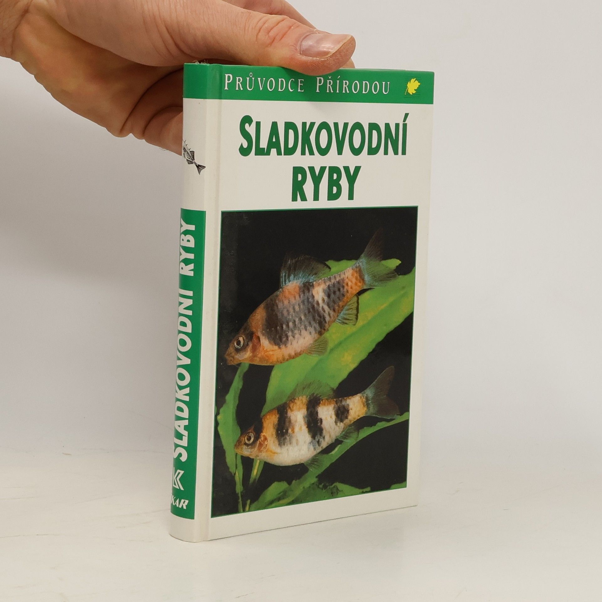 Kolektiv autorů Sladkovodní ryby v evropských vodách