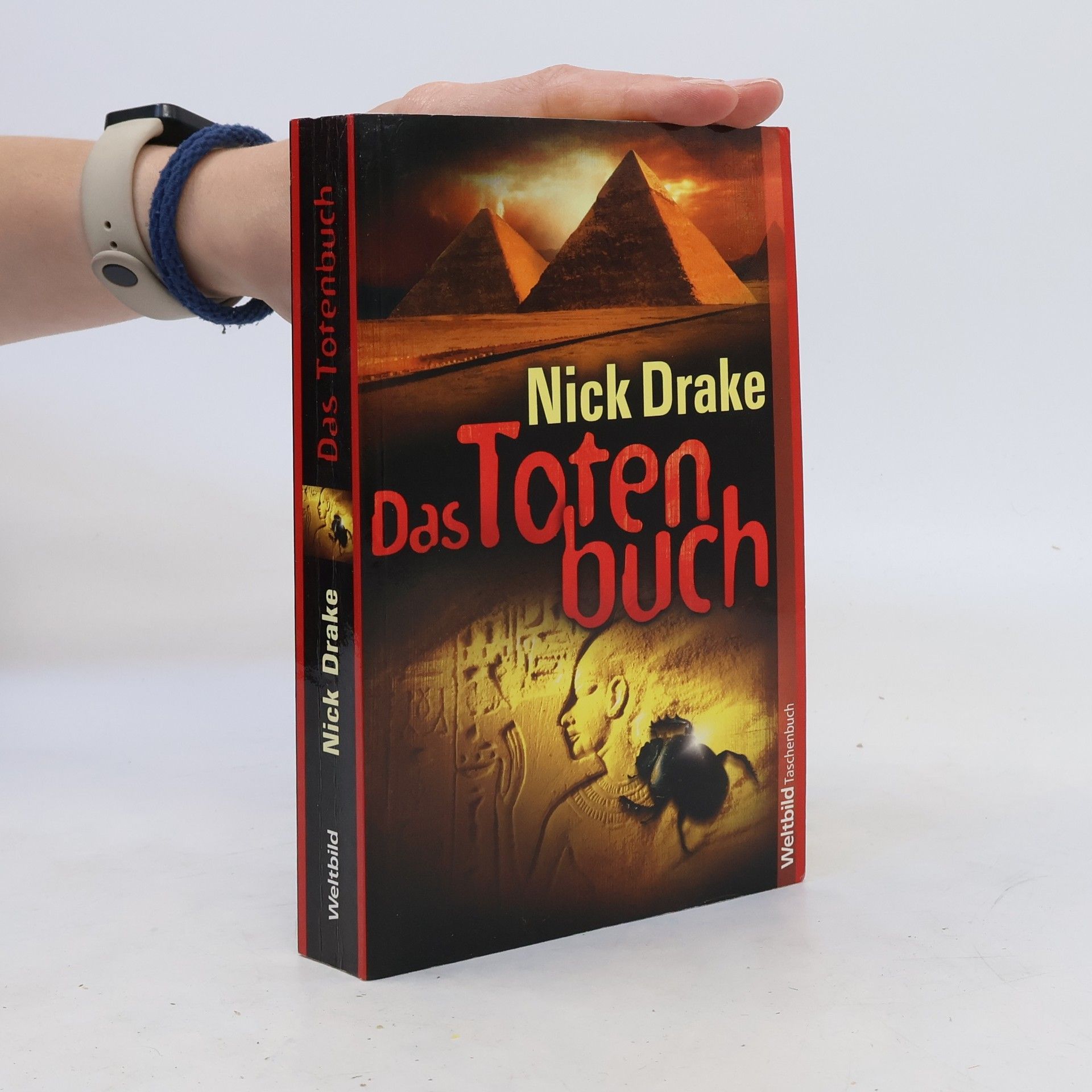 Nick Drake Das Totenbuch