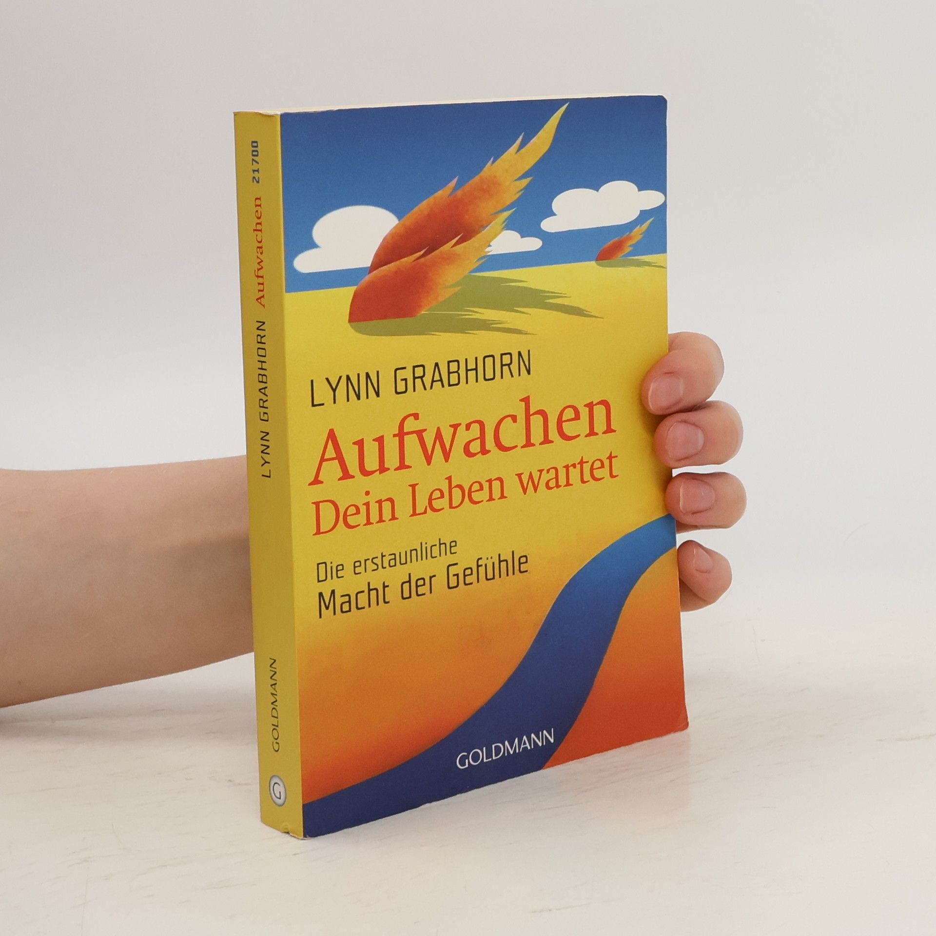 Lynn Grabhorn Aufwachen. Dein Leben wartet