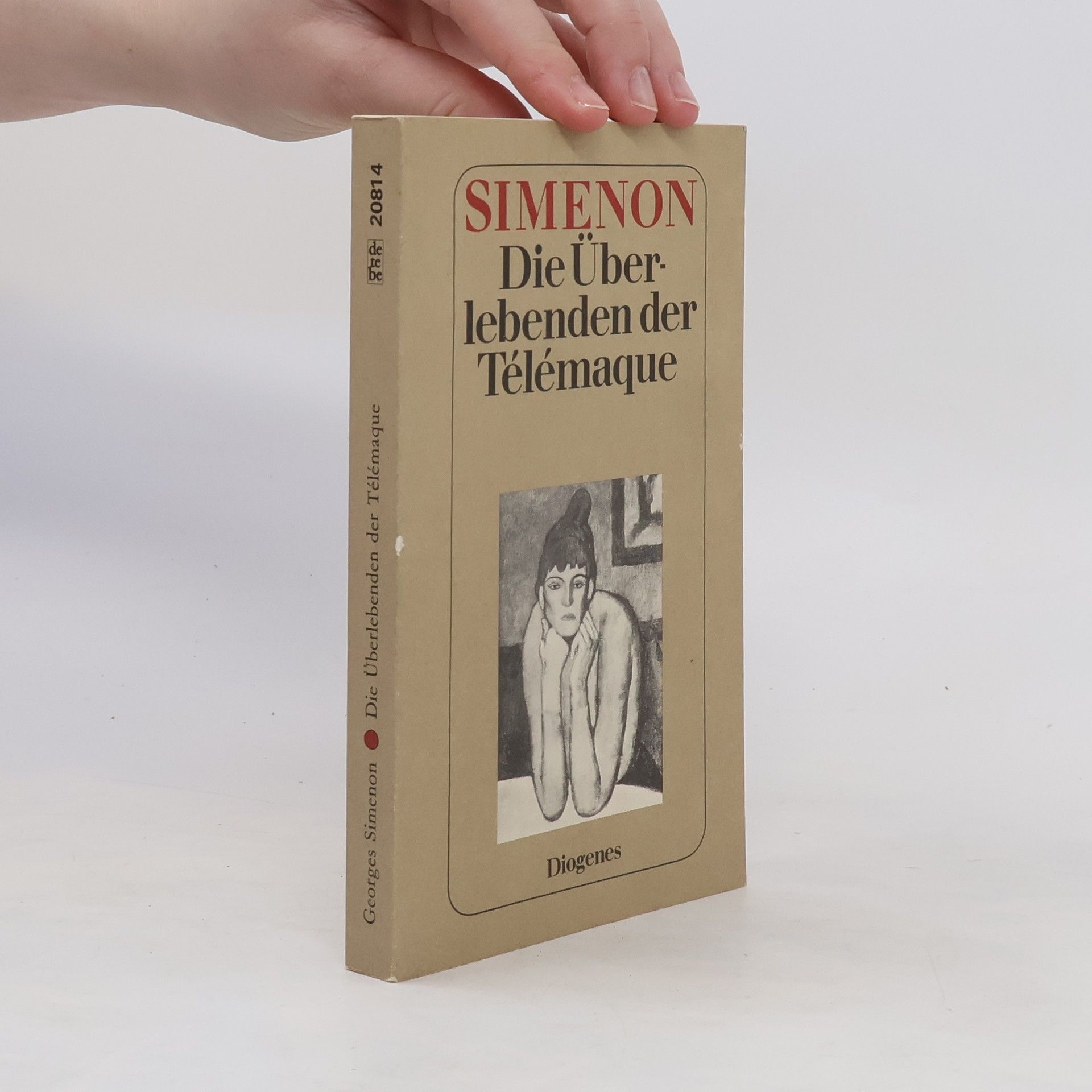 Georges Simenon Die Überlebenden der Télémaque