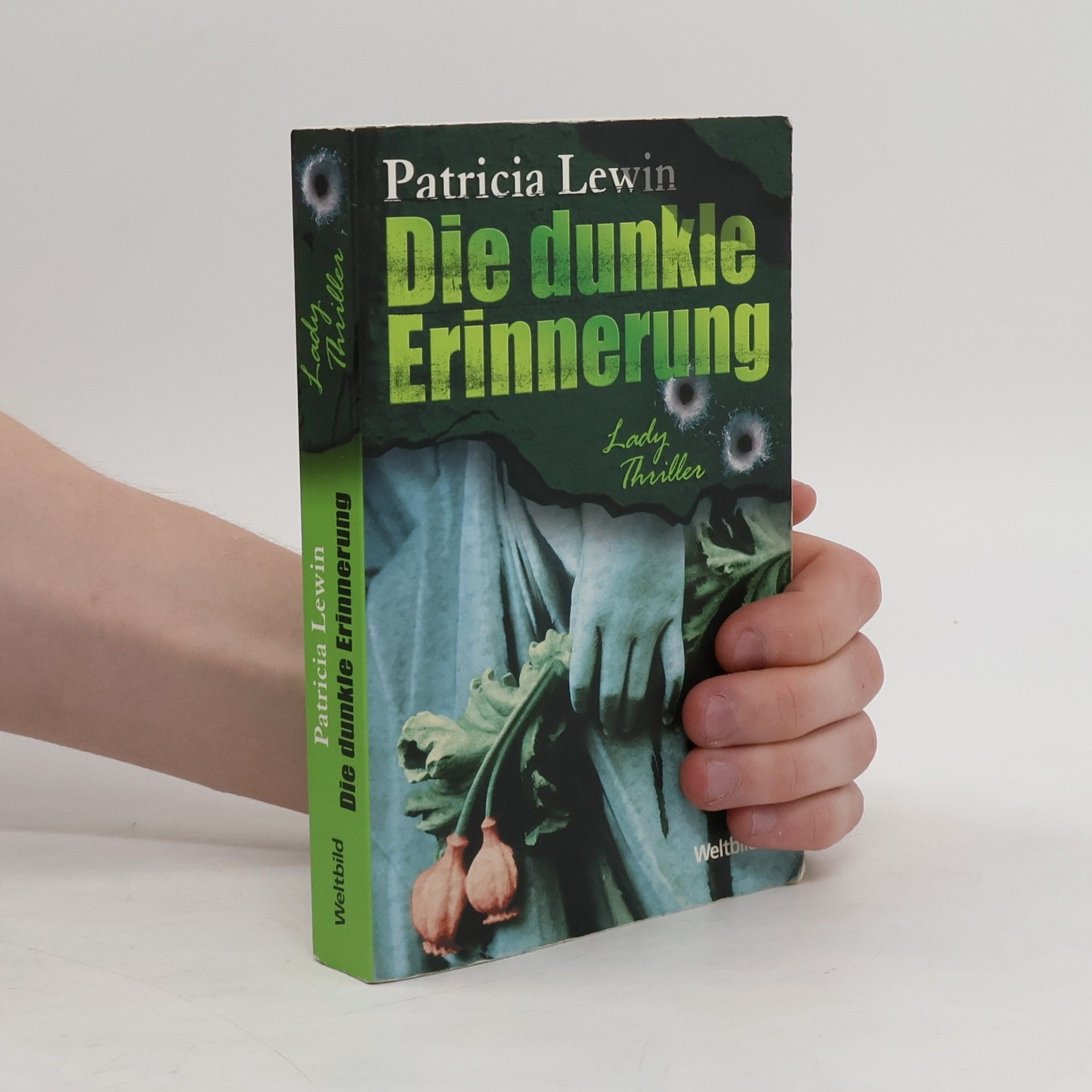 Patricia Lewin Die dunkle Erinnerung