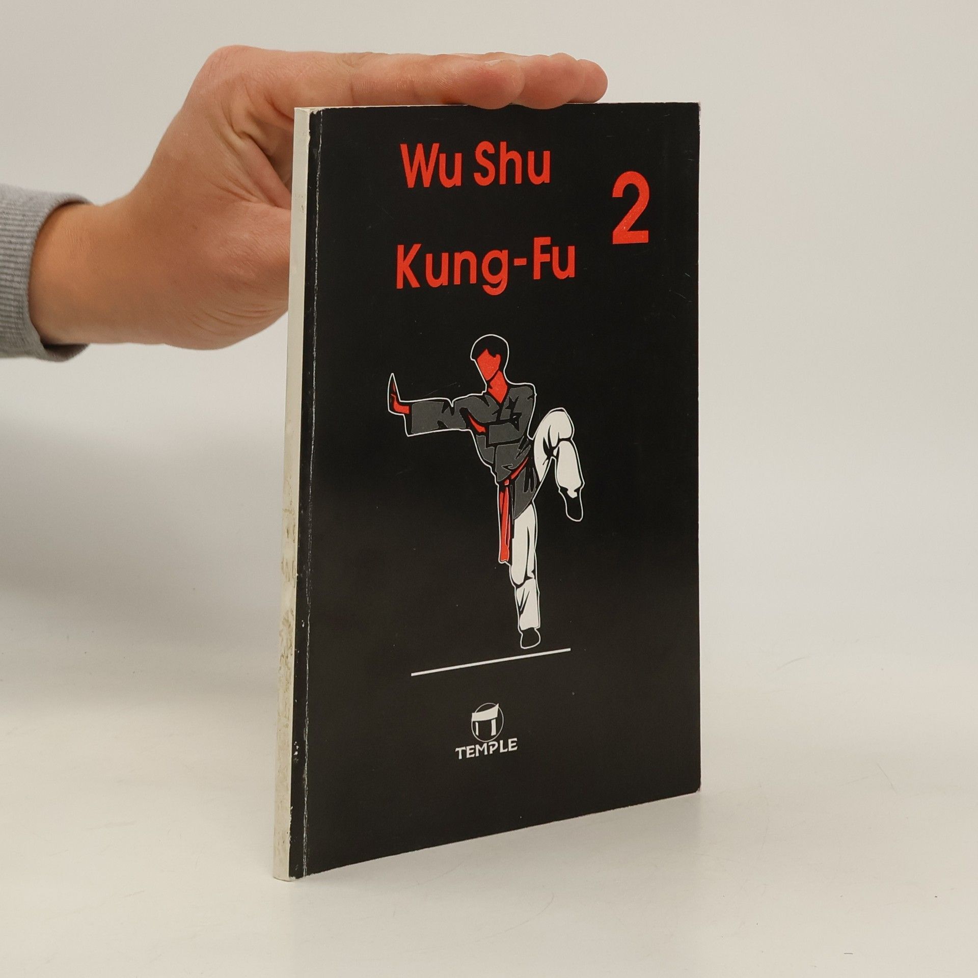 Zdeněk Kurfürst Wu Shu Kung-Fu 2