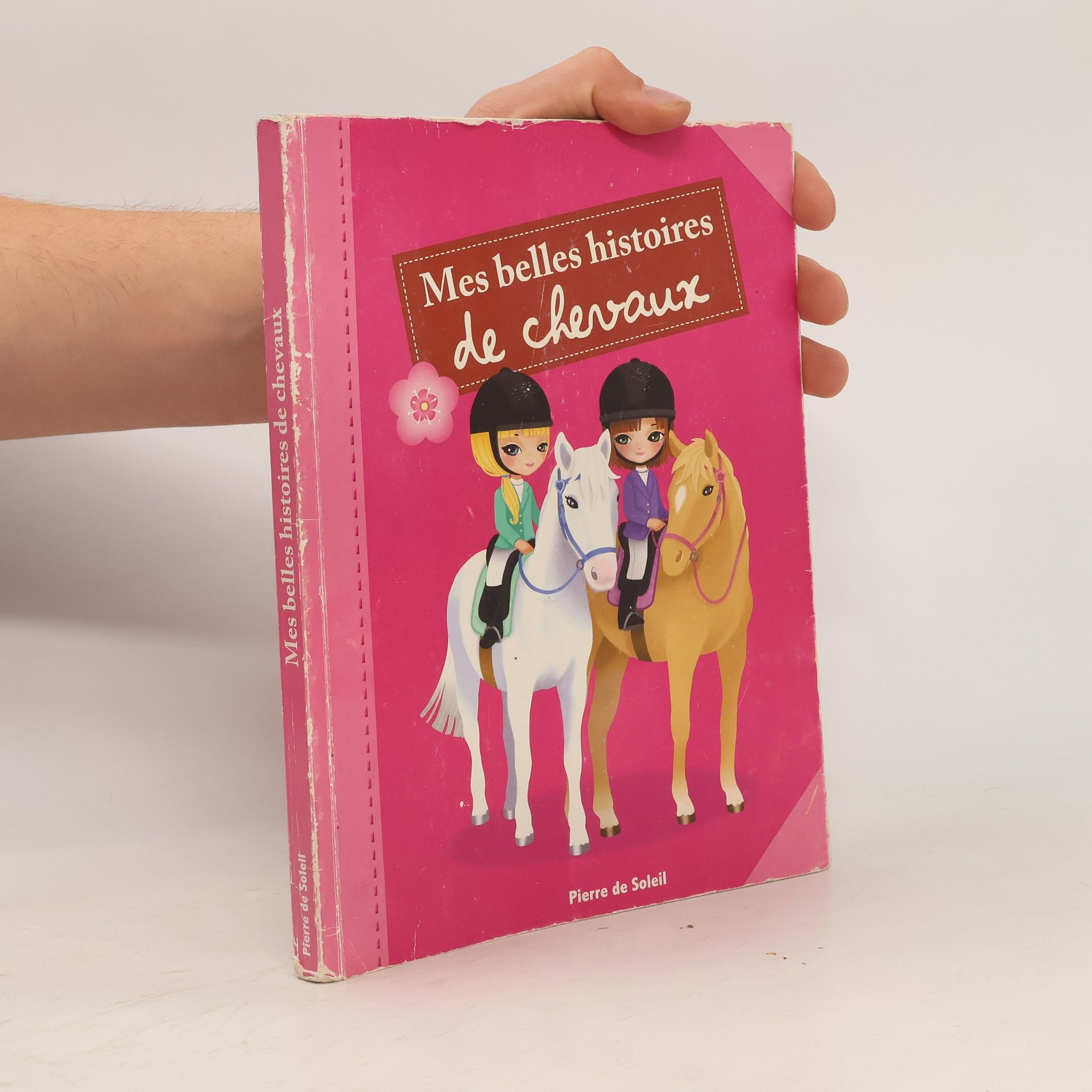 Autorenkollektiv Mes belles histoires de chevaux