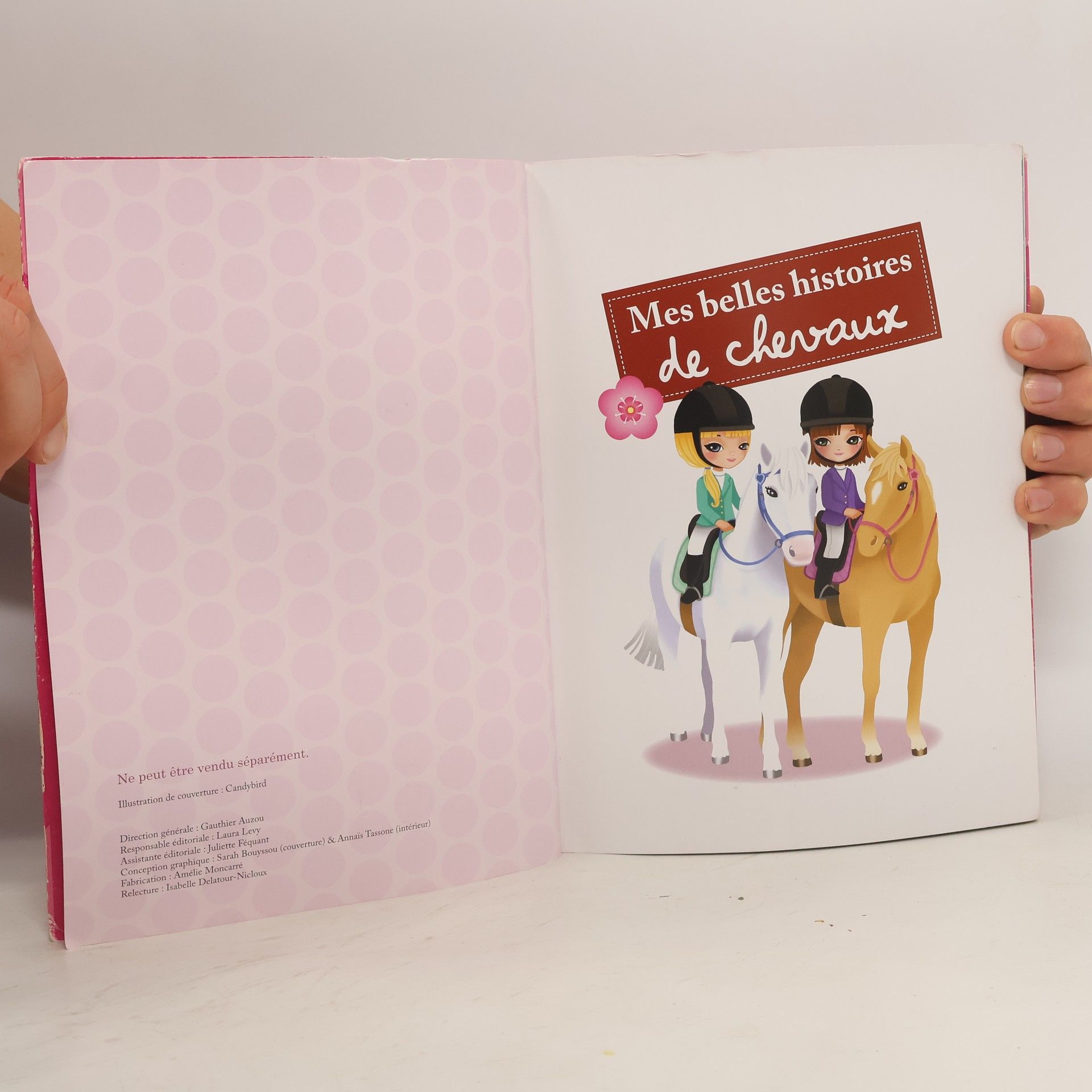 Autorenkollektiv Mes belles histoires de chevaux