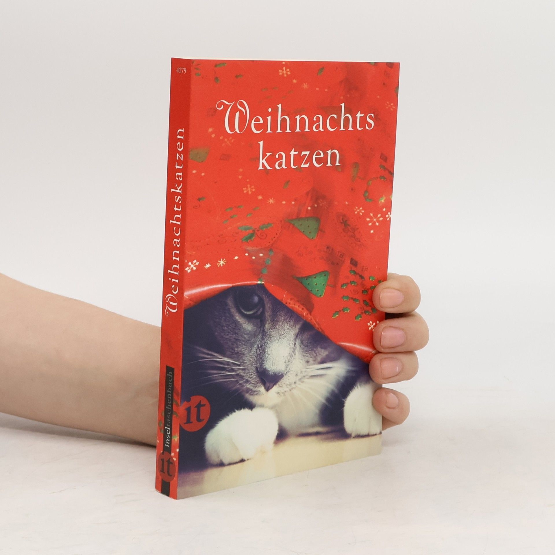 Gesine Dammel Weihnachtskatzen