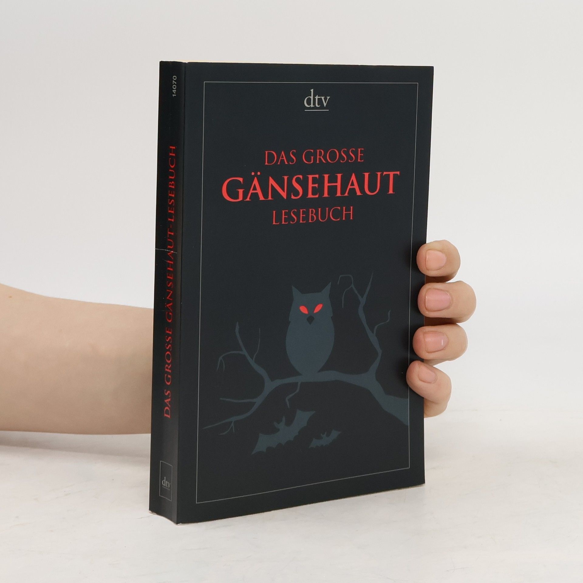 Das große Gänsehaut-Lesebuch. Originalausgabe