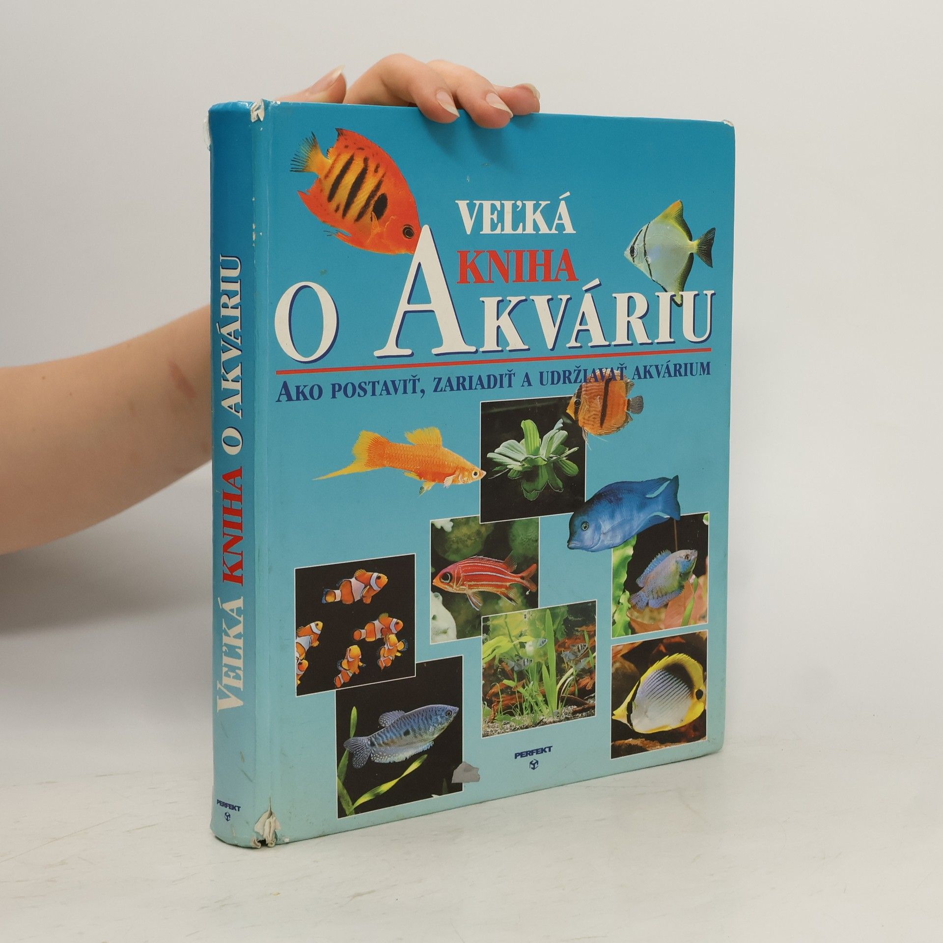 Autorenkollektiv Velká kniha o akváriu