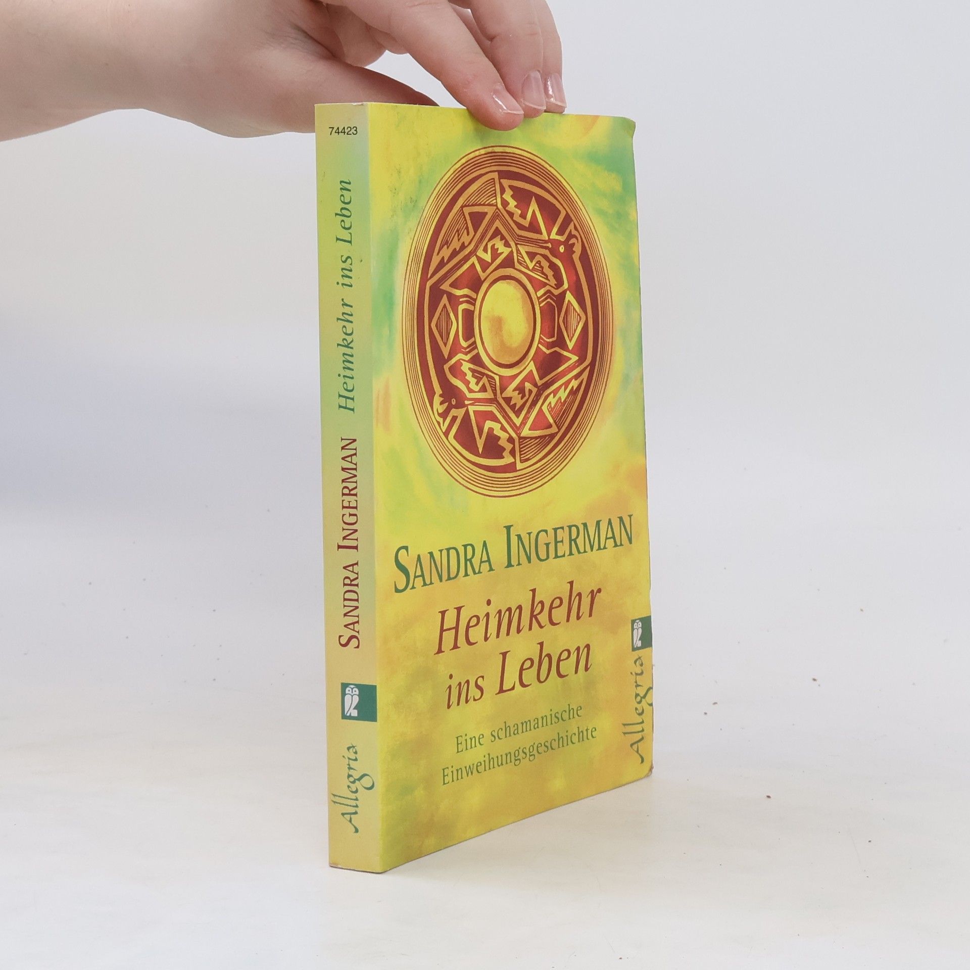 Sandra Ingerman Heimkehr ins Leben