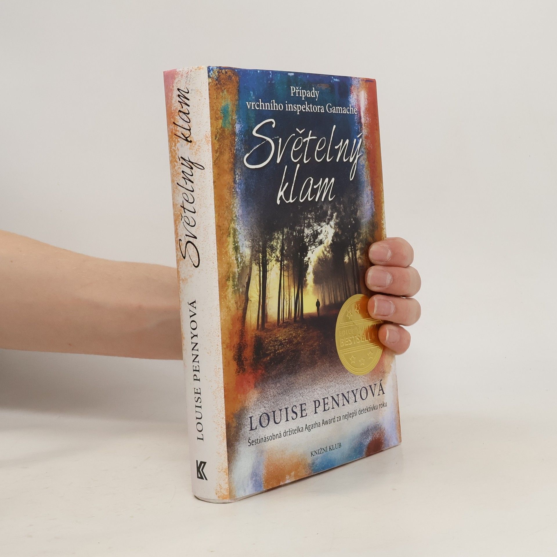 Louise Penny Světelný klam