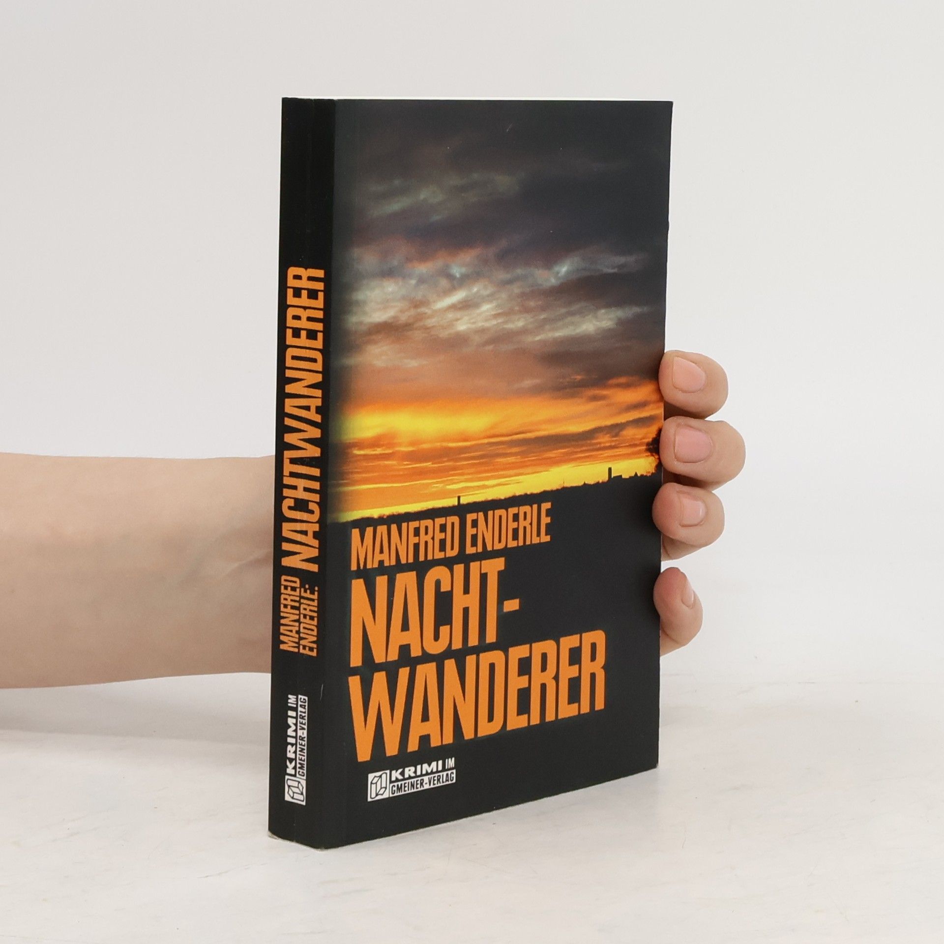 Manfred Enderle Nachtwanderer
