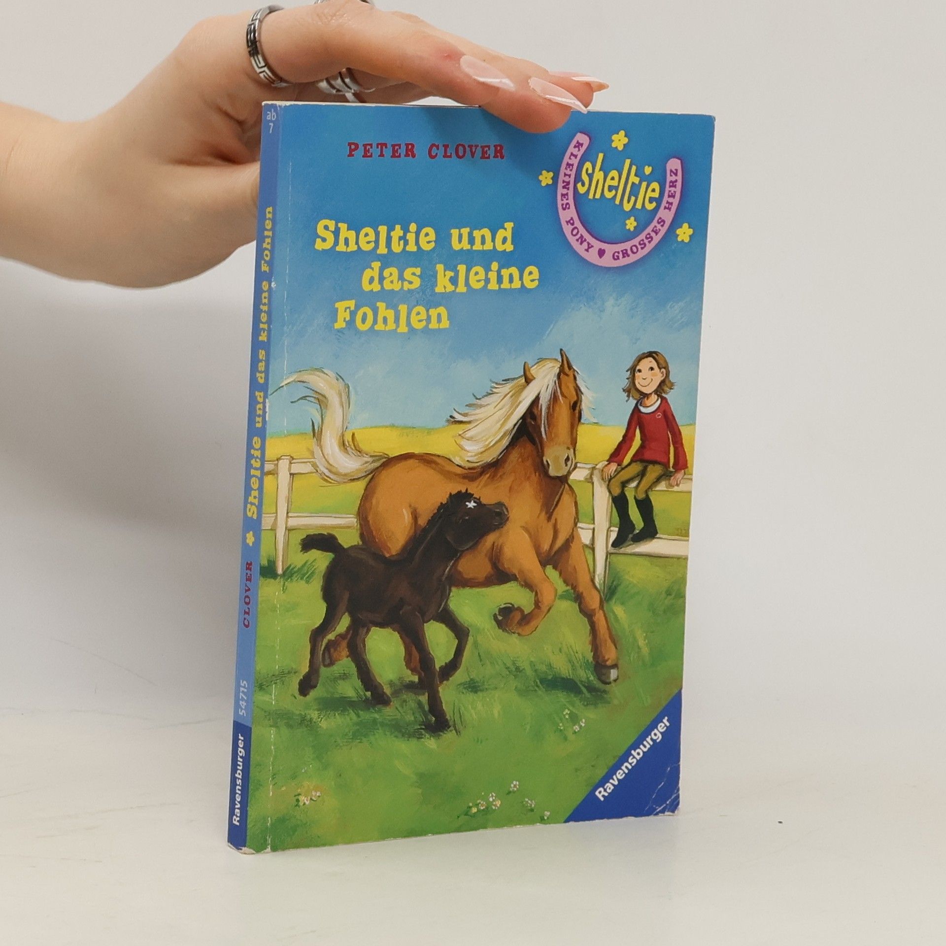 Peter Clover Sheltie und das kleine Fohlen