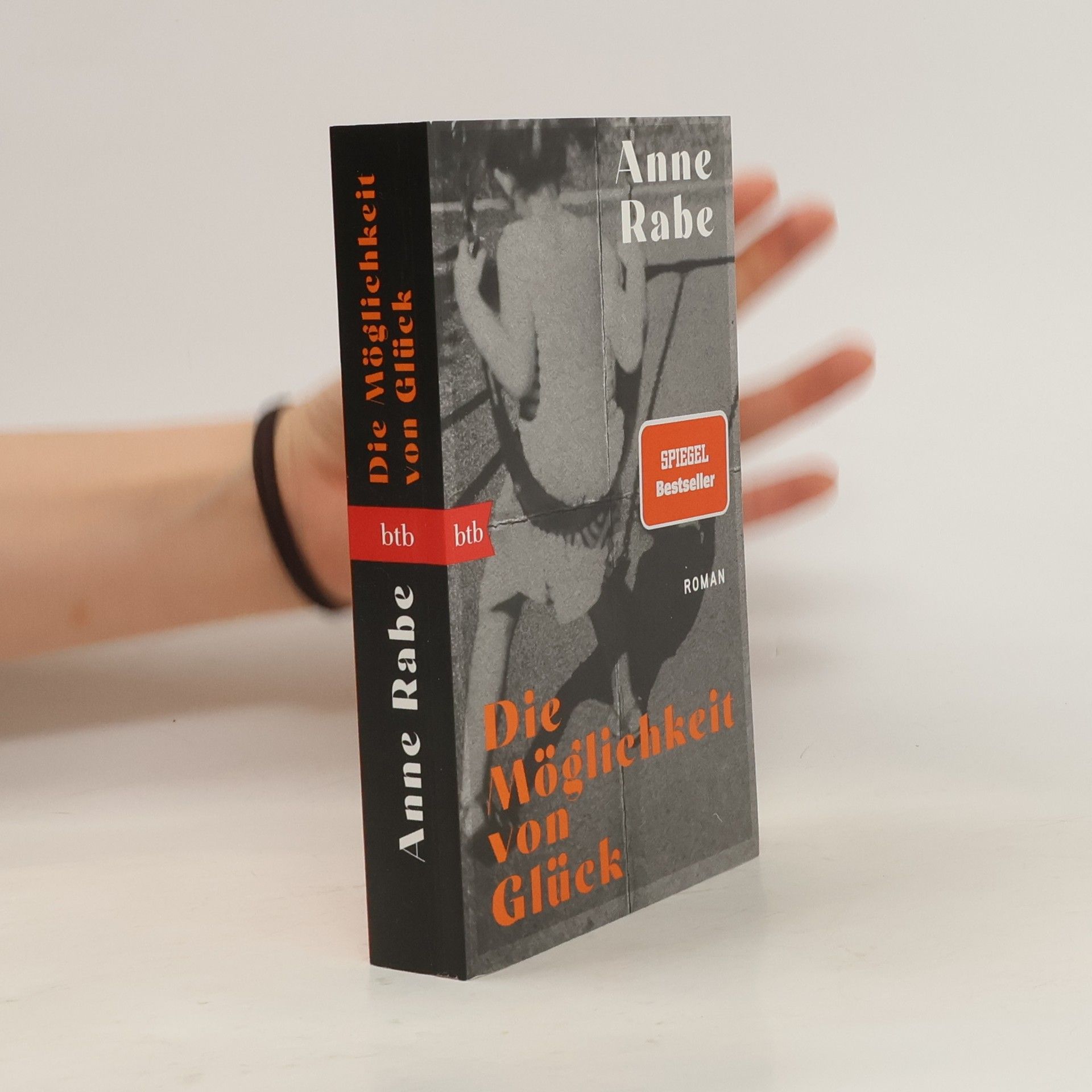 Anne Rabe Die Möglichkeit von Glück