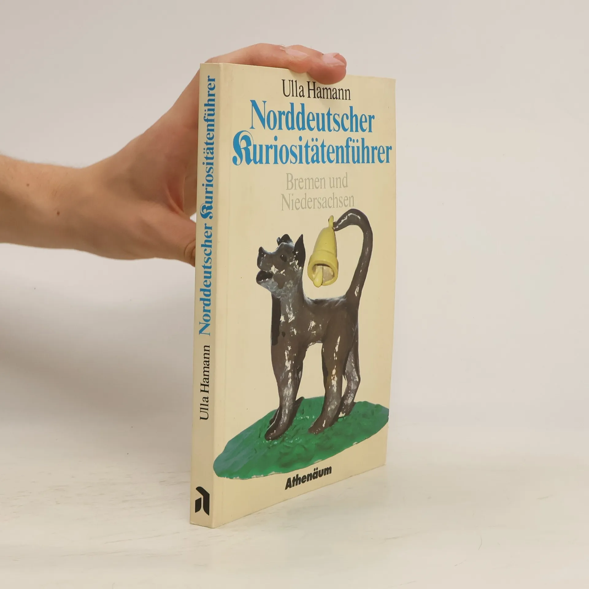 Norddeutscher Kuriositätenführer | Book | Paperback | Ulla Hamann | DE