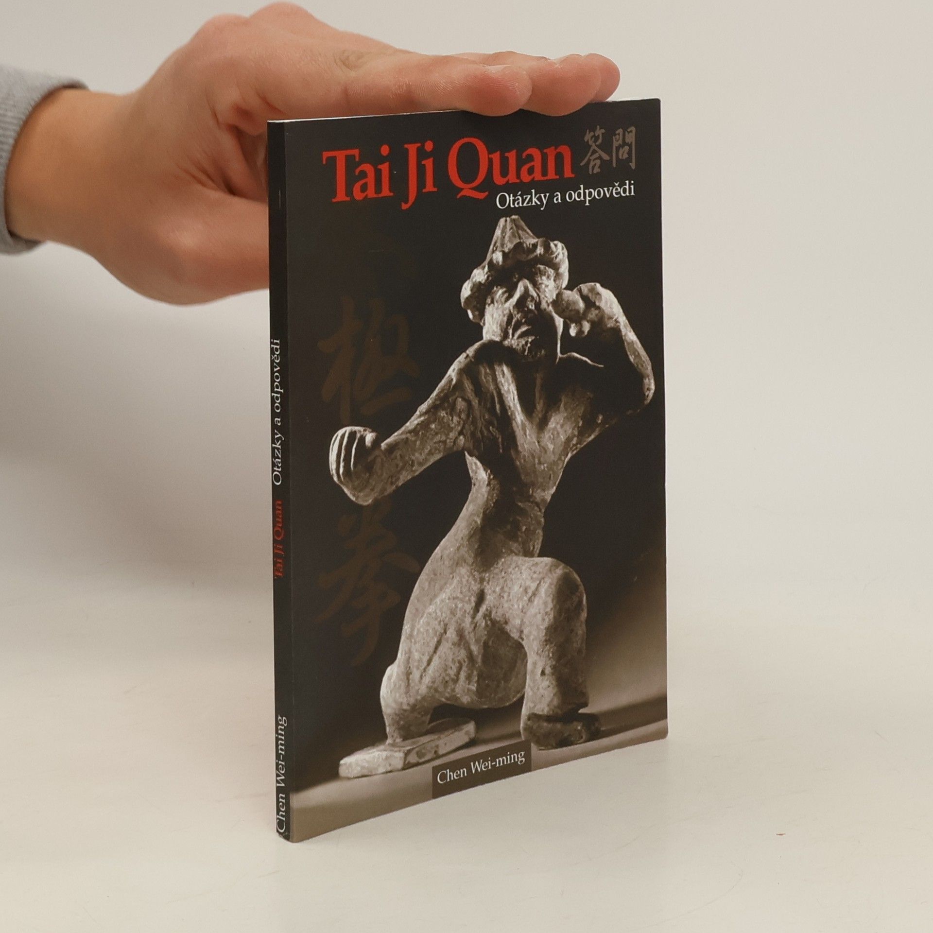 Wei ming Chen Tai Ji Quan. Otázky a odpovědi