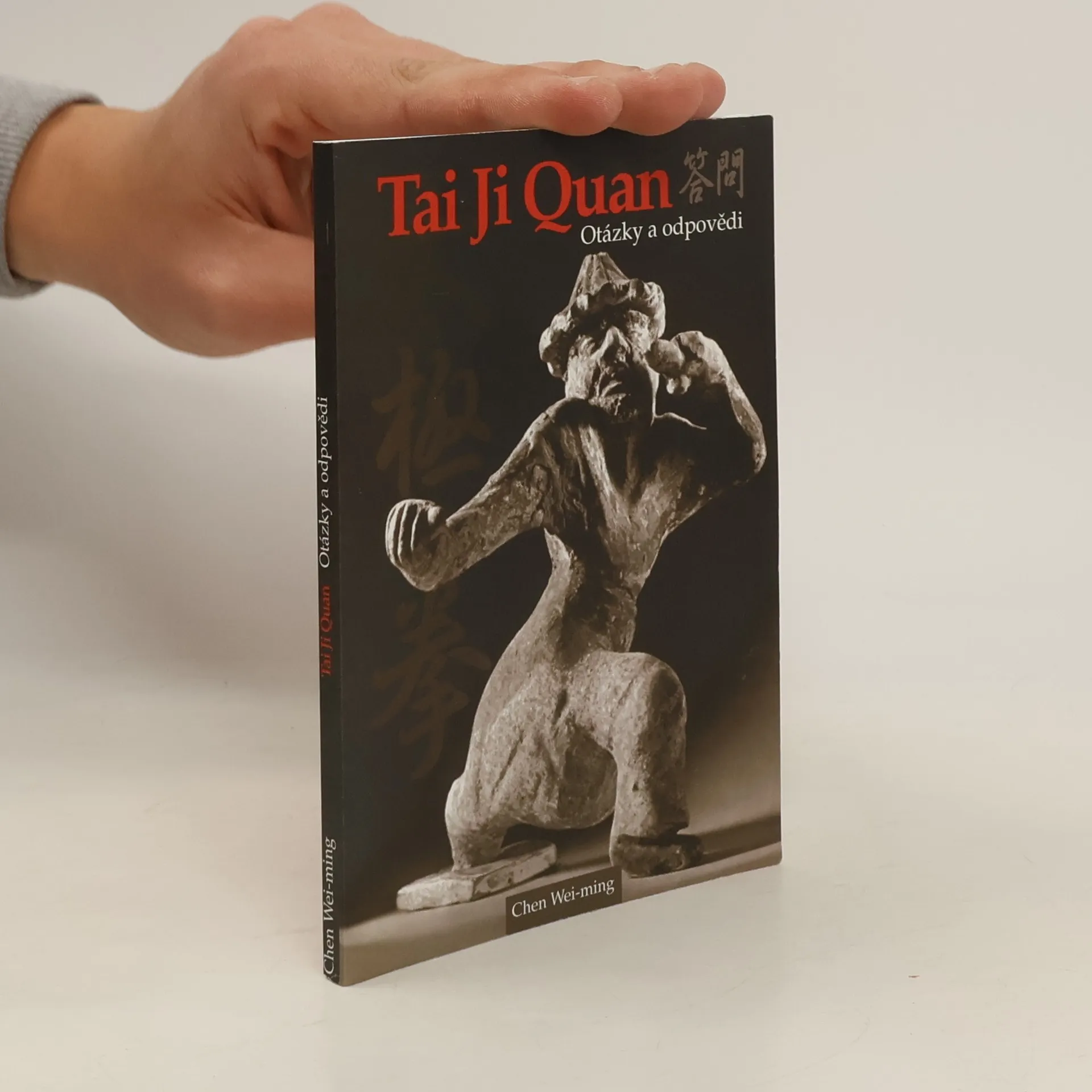 Tai Ji Quan. Otázky a odpovědi | Book | Wei ming Chen | CS