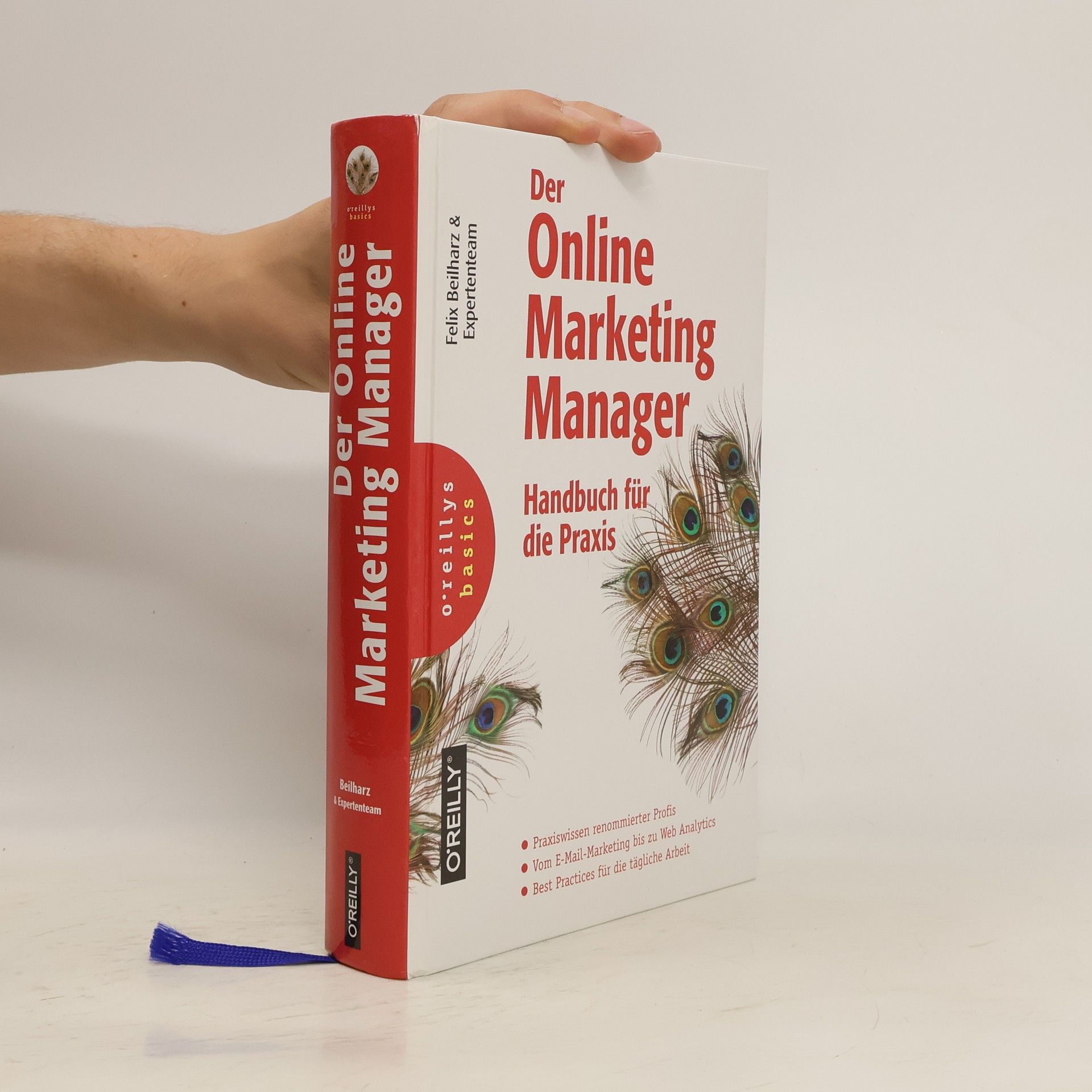 Felix Beilharz Der Online Marketing Manager