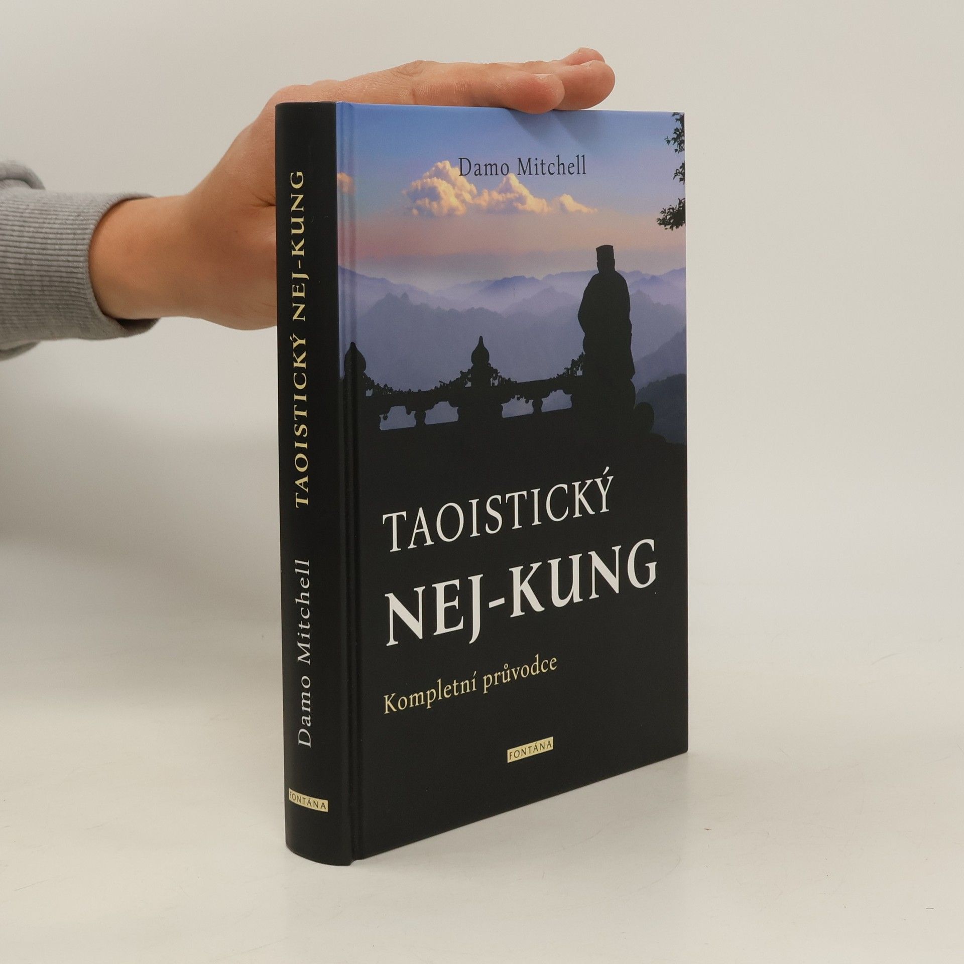 Damo Mitchell Taoistický ne-kung - Kompletní průvodce