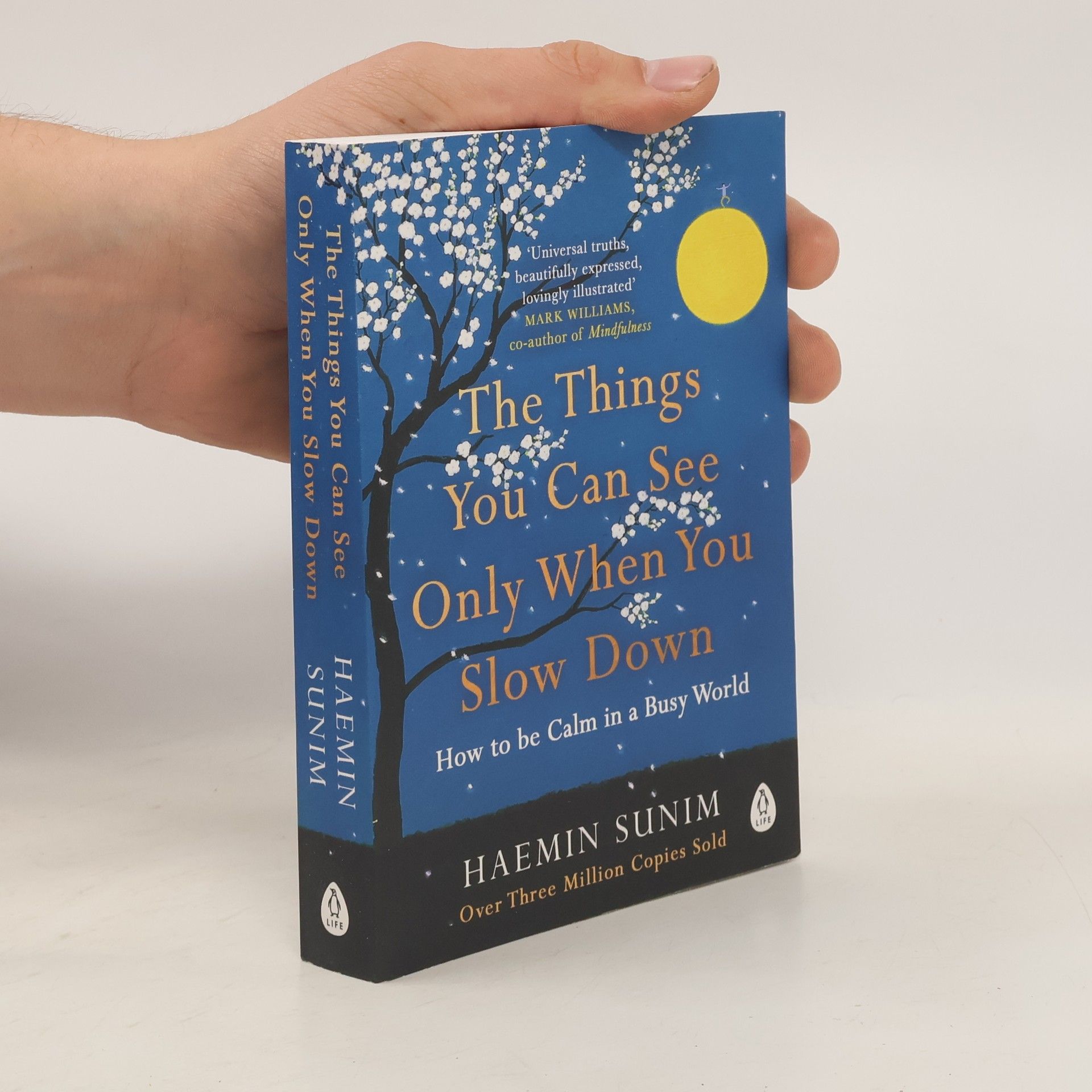 Sunim Haemin The Things You Can See Only When You Slow Down