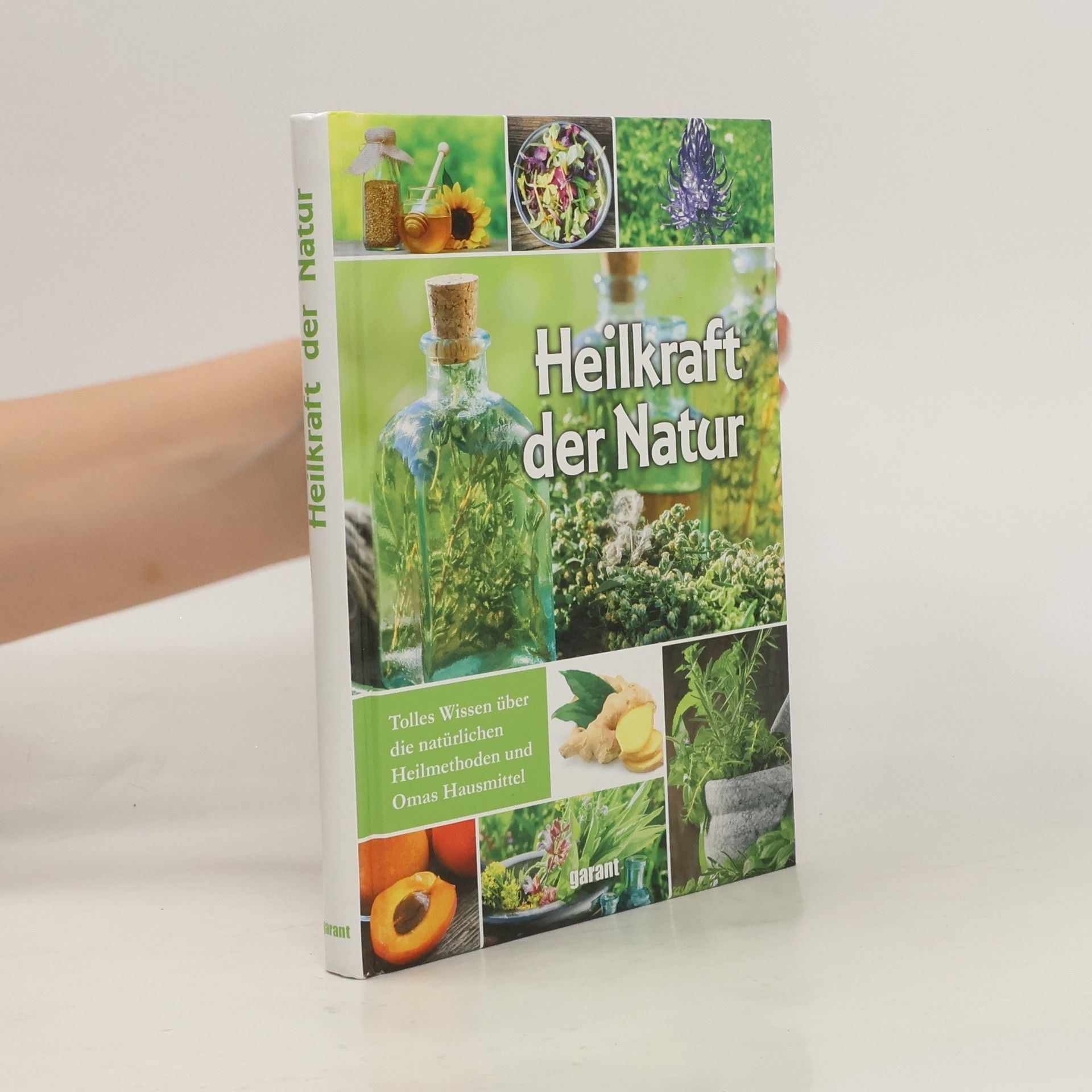Susanne Lamprecht Heilkraft der Natur