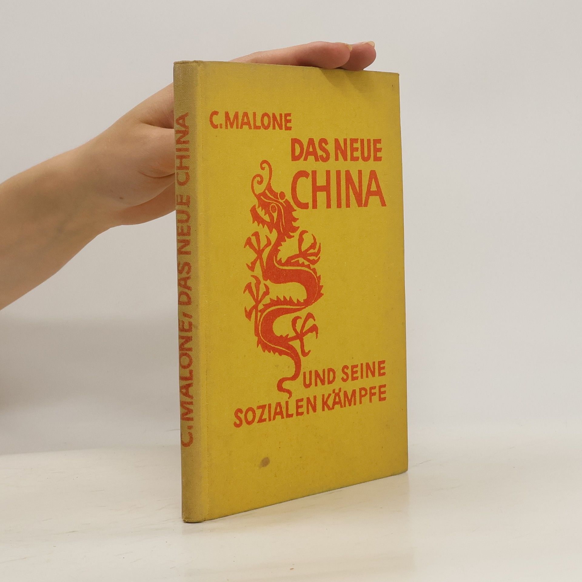 Das neue China und seine sozialen Kämpfe