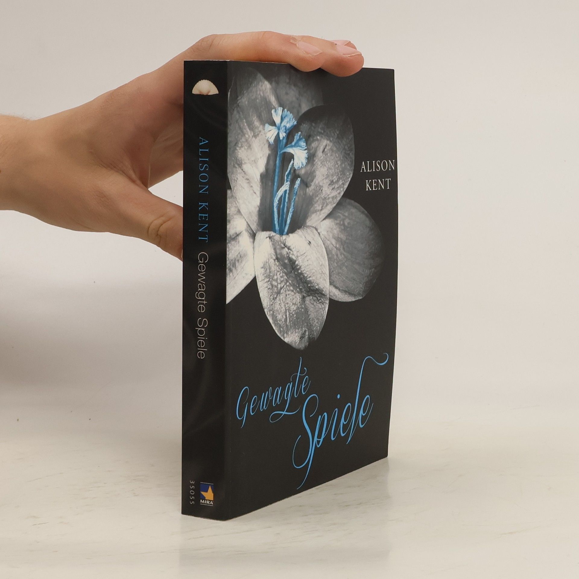 Alison Kent Gewagte Spiele