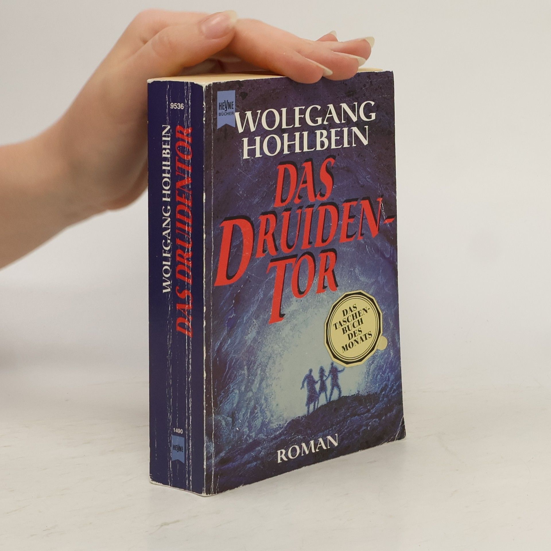 Wolfgang Hohlbein Das Druidentor