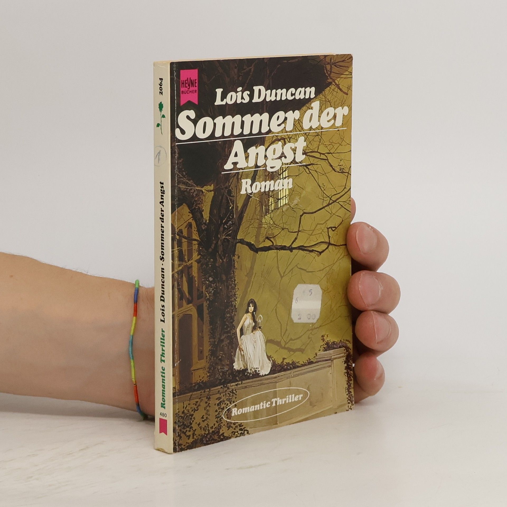 Lois Duncan Sommer der Angst