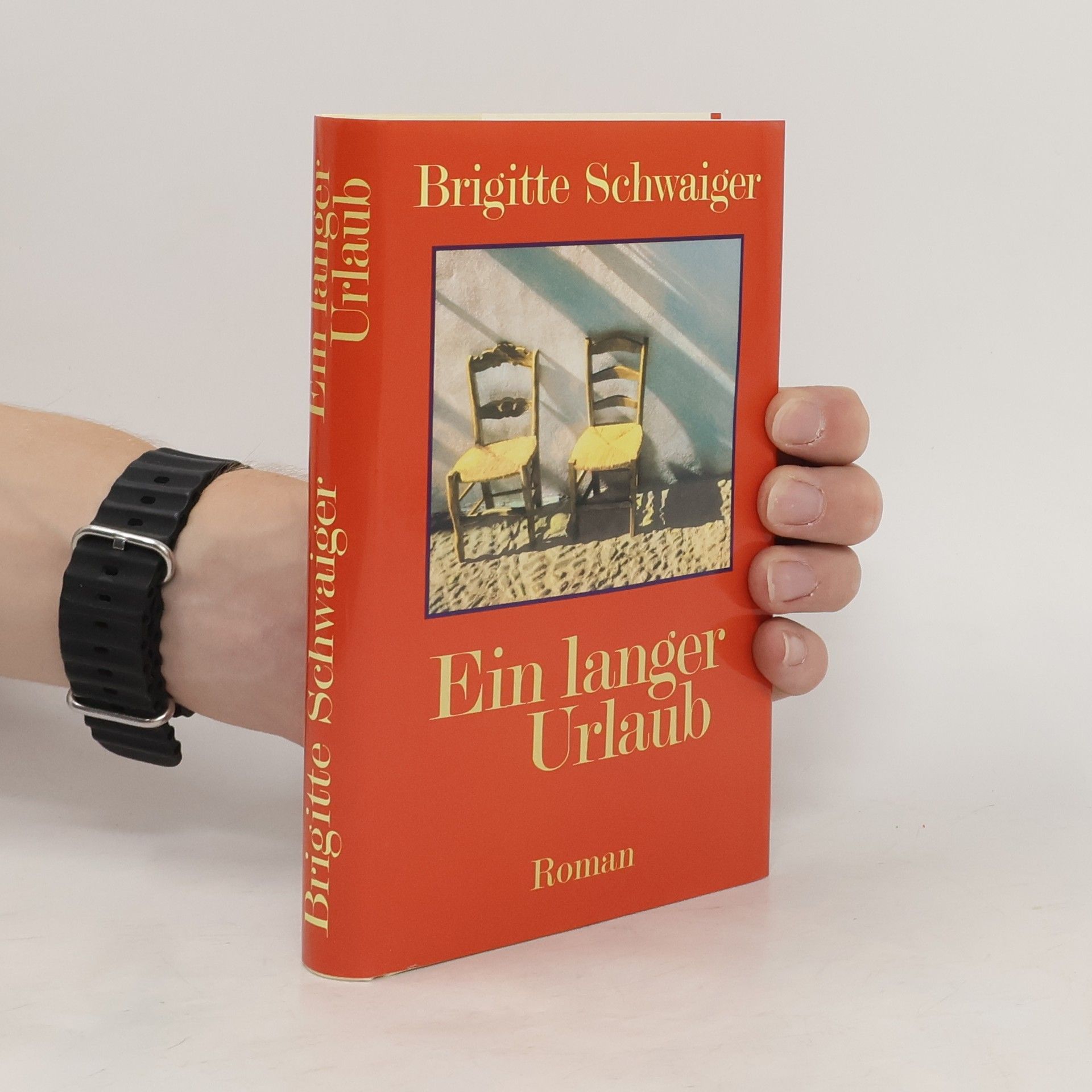 Brigitte Schwaiger Ein langer Urlaub