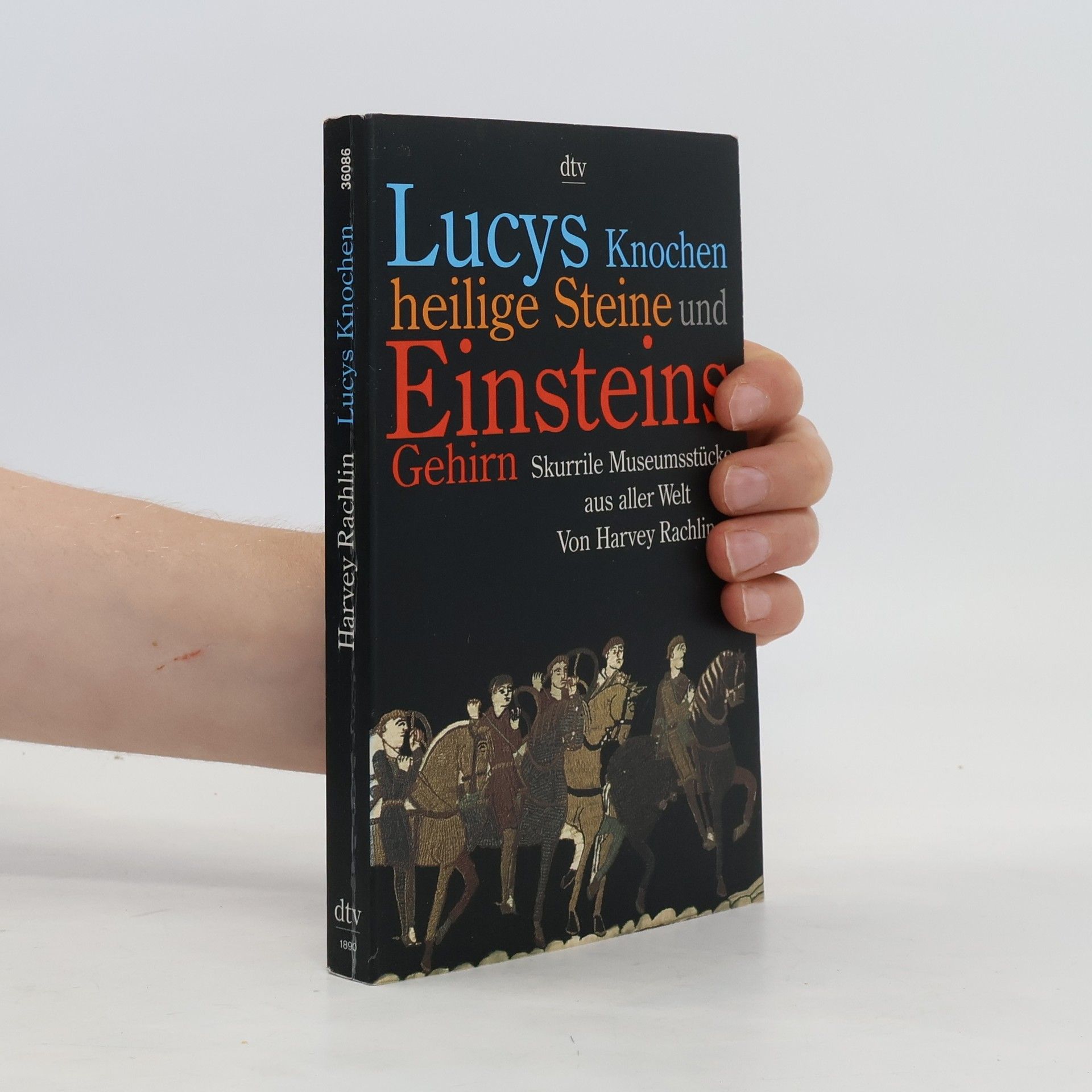 Harvey Rachlin Lucys Knochen, heilige Steine und Einsteins Gehirn