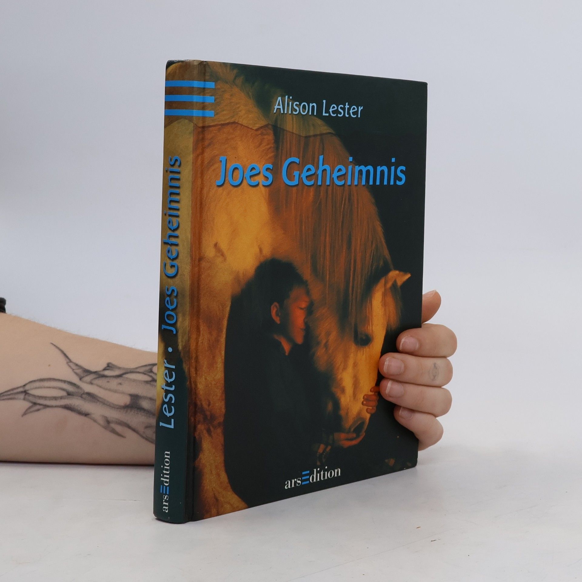 Alison Lester Joes Geheimnis