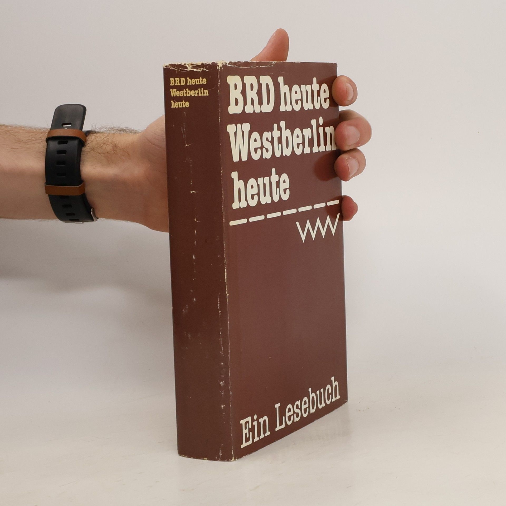 Christlieb Hirte BRD heute. Westberlin heute. Ein Lesebuch