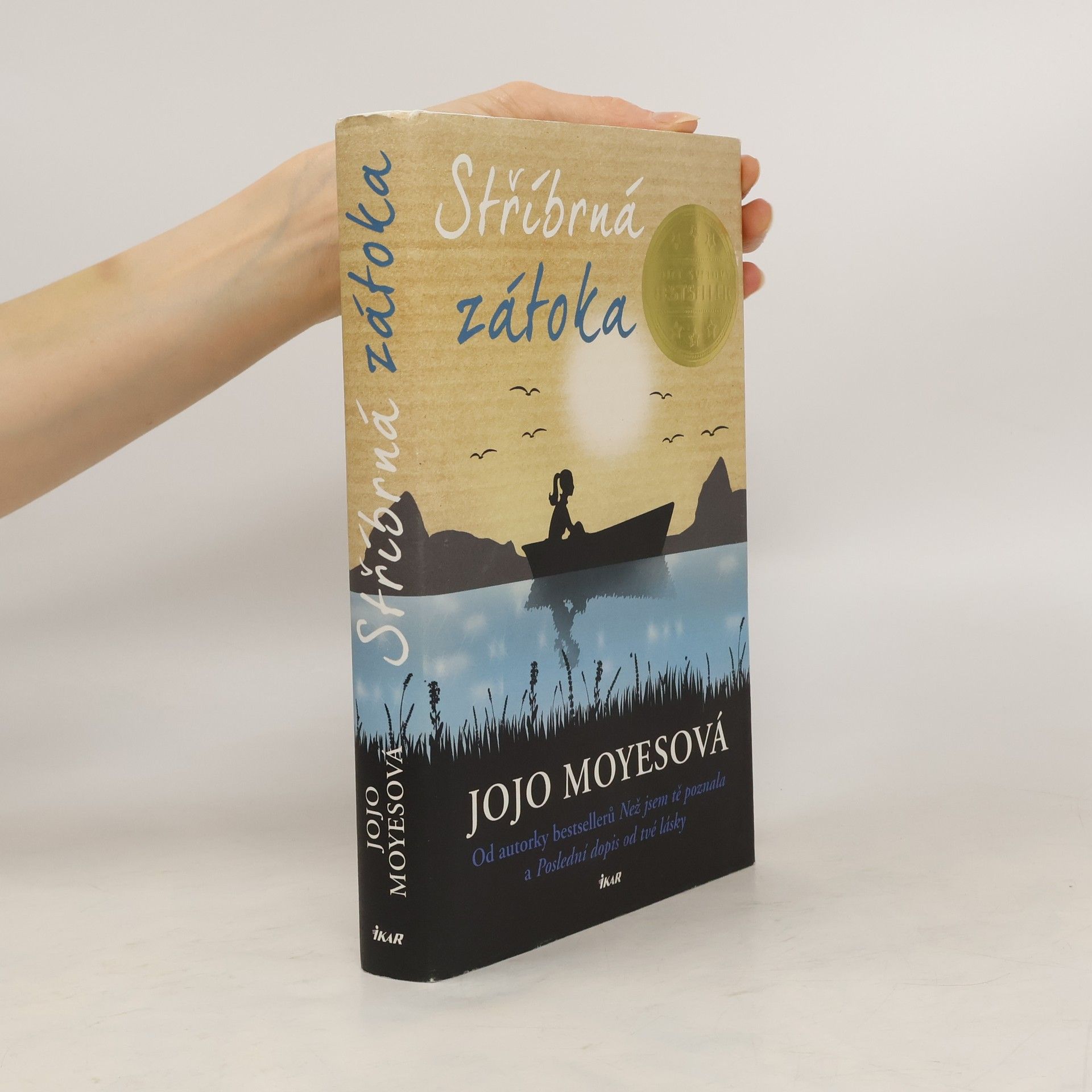 Jojo Moyes Stříbrná zátoka