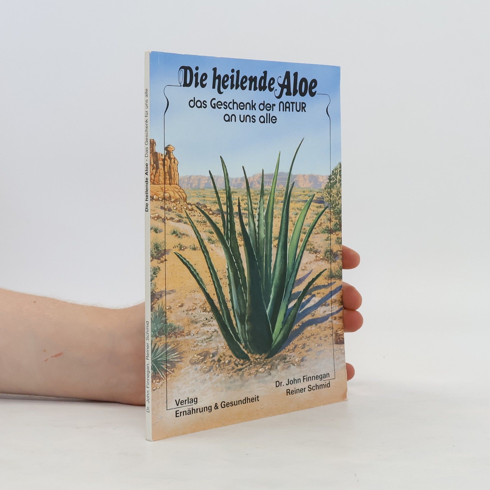Die heilende Aloe