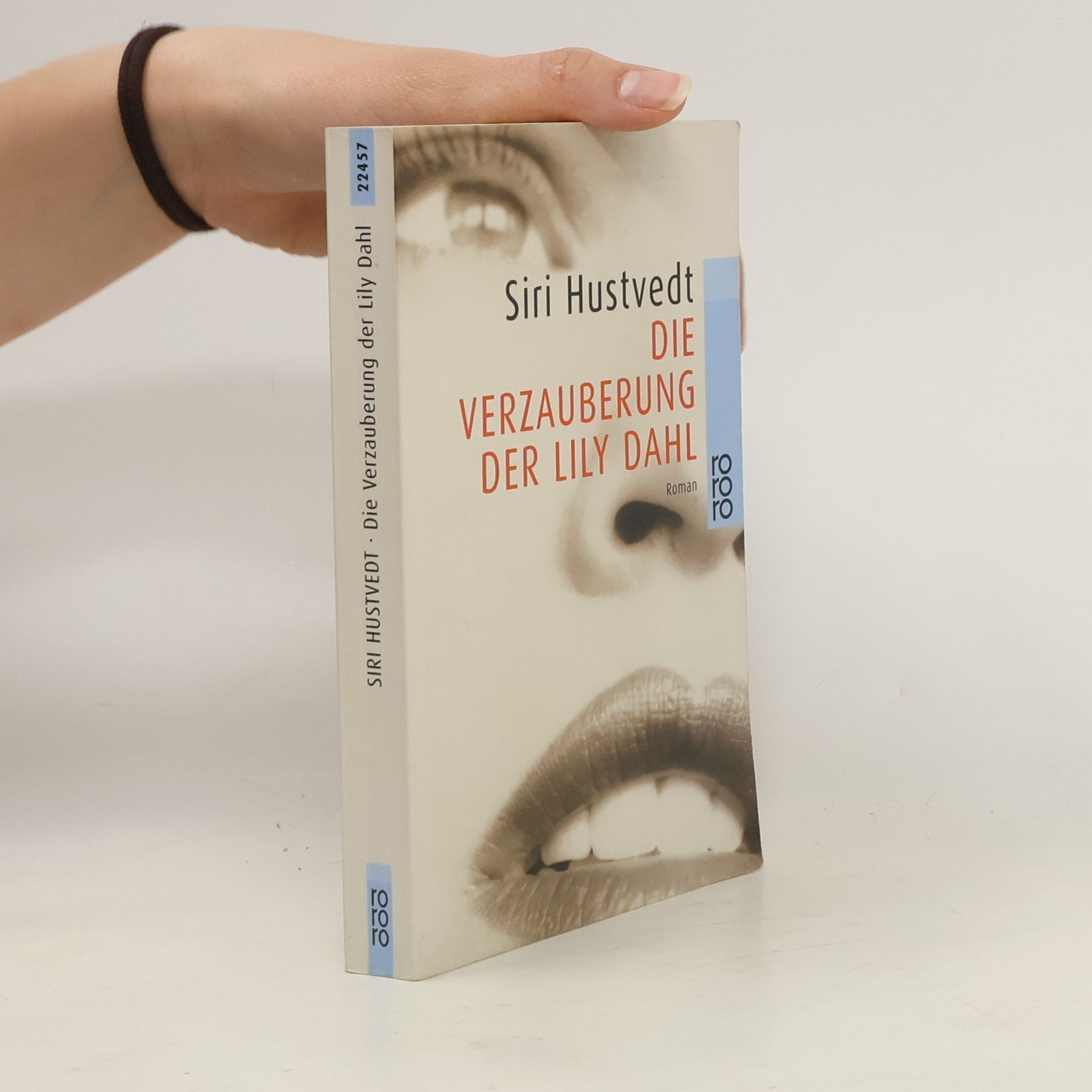 Siri Hustvedt Die Verzauberung der Lily Dahl
