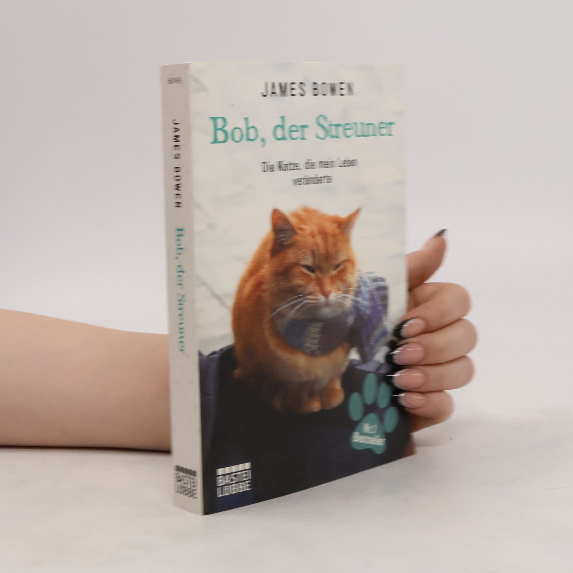 James Bowen Bob, der Streuner
