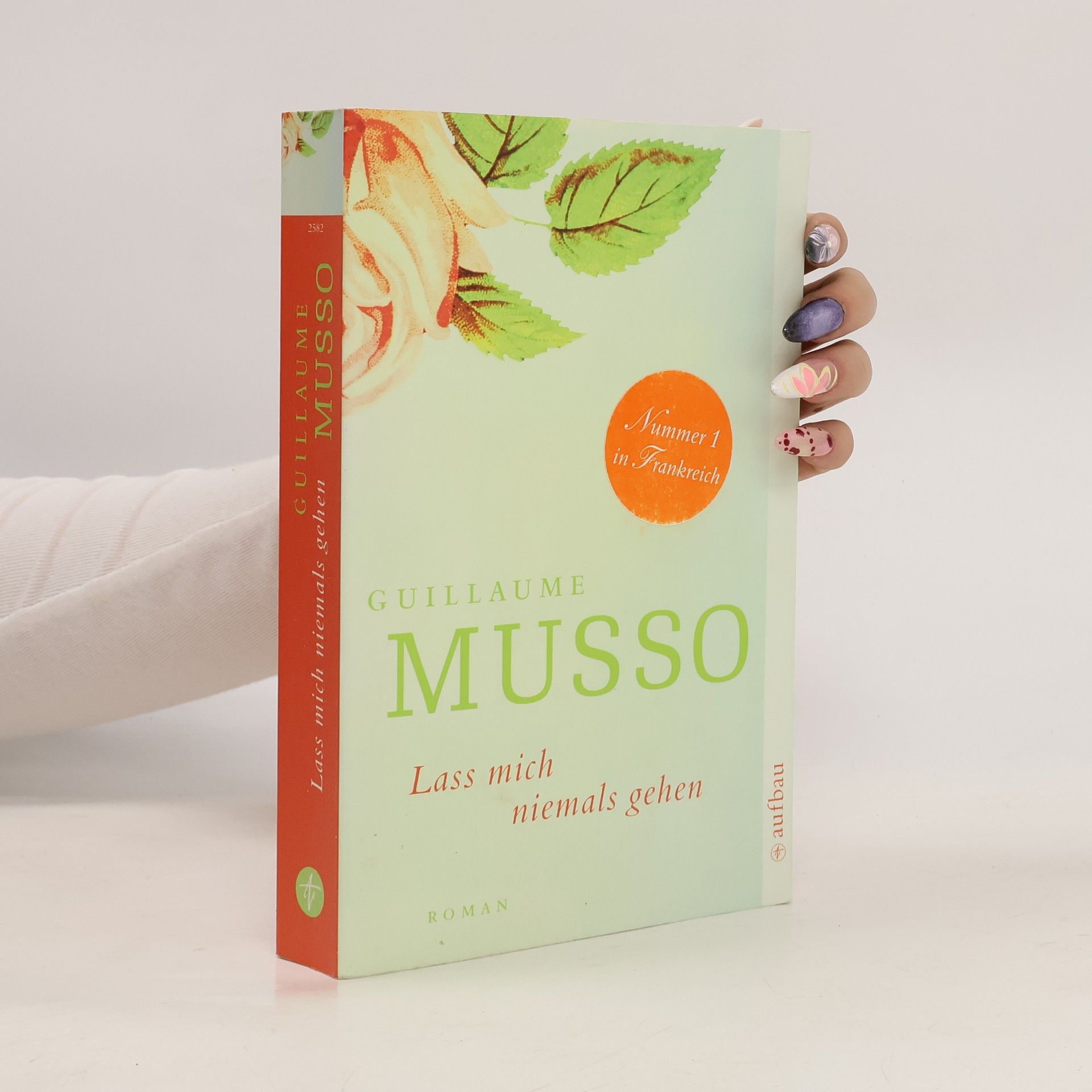 Guillaume Musso Lass mich niemals gehen