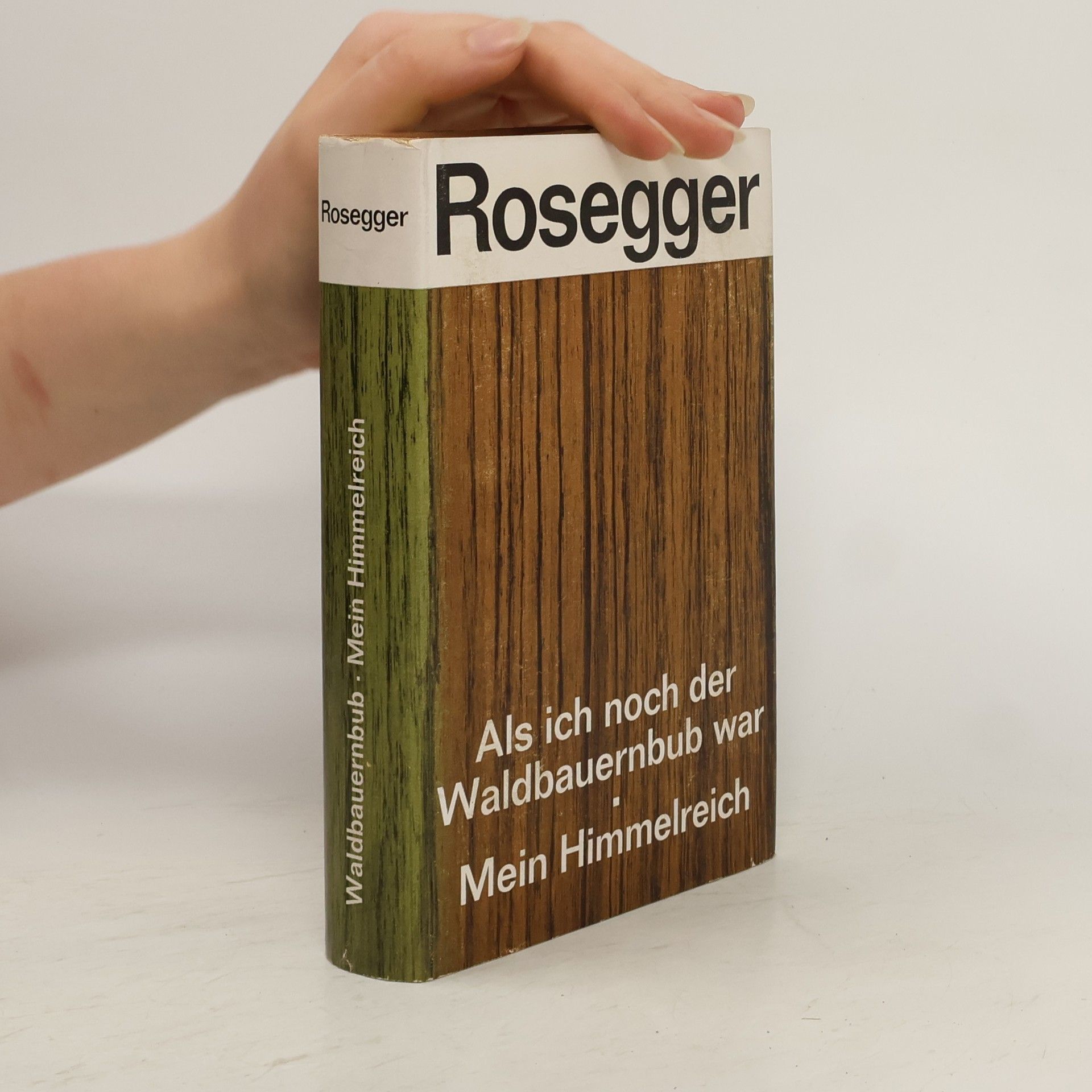 Petr Rosegger Als ich noch der Waldbauernbub war. Mein Himmelreich