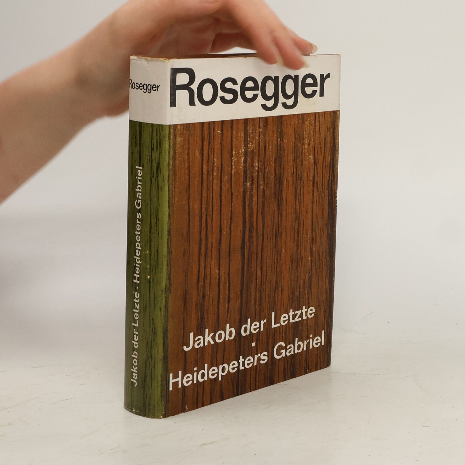 Petr Rosegger Jakob der Letzte; Heidepeters Gabriel