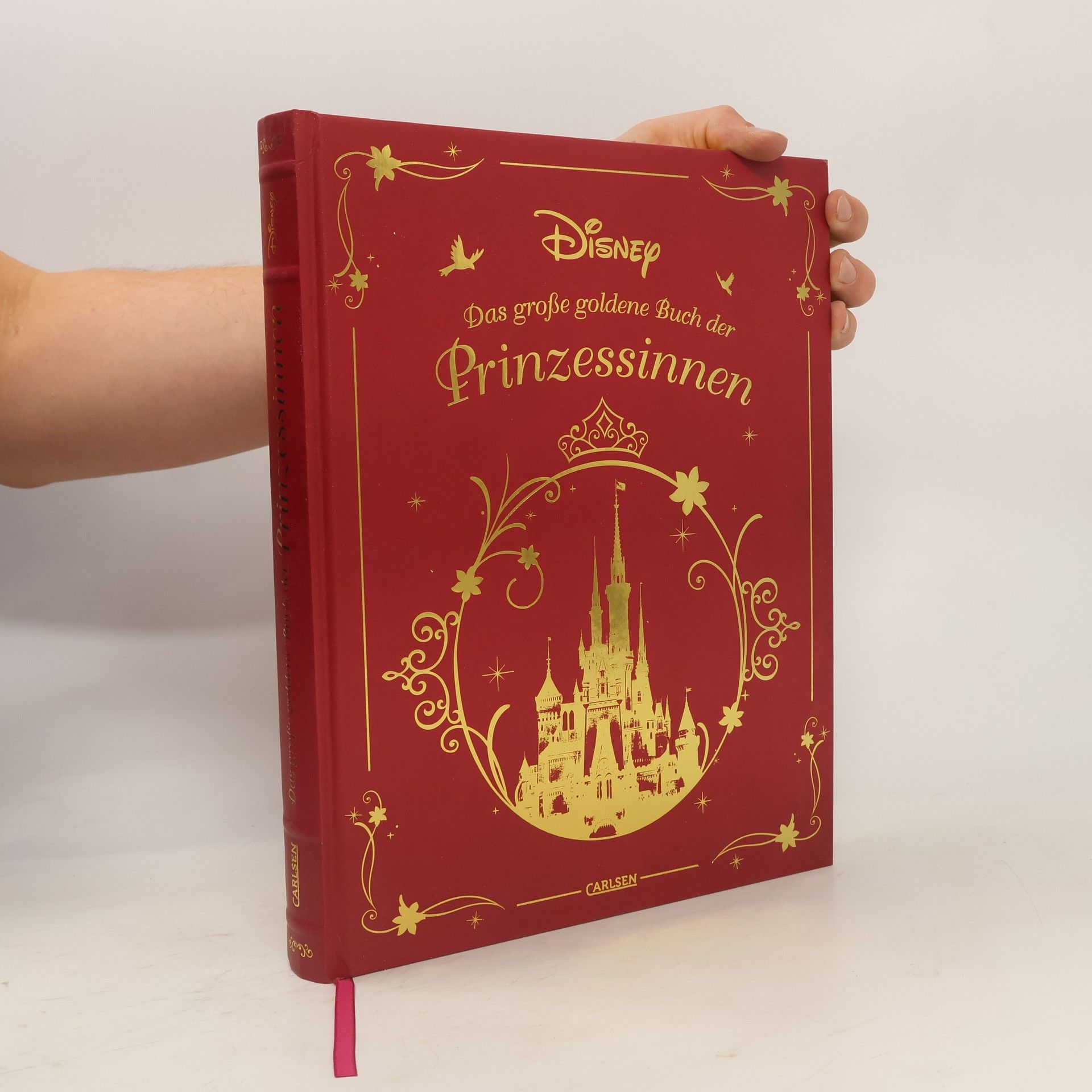 Collective Das große goldene Buch der Prinzessinnen