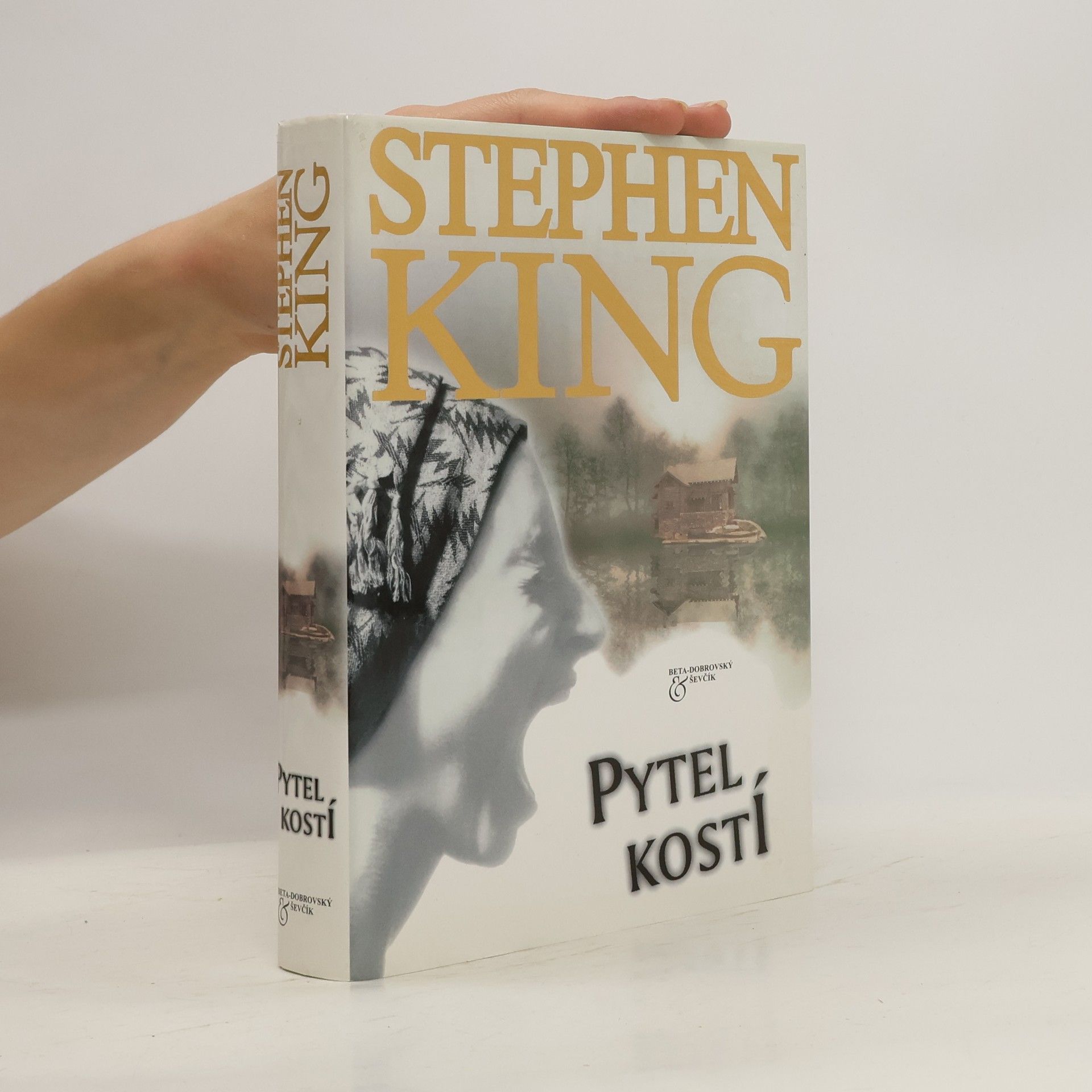 Stephen King Pytel kostí