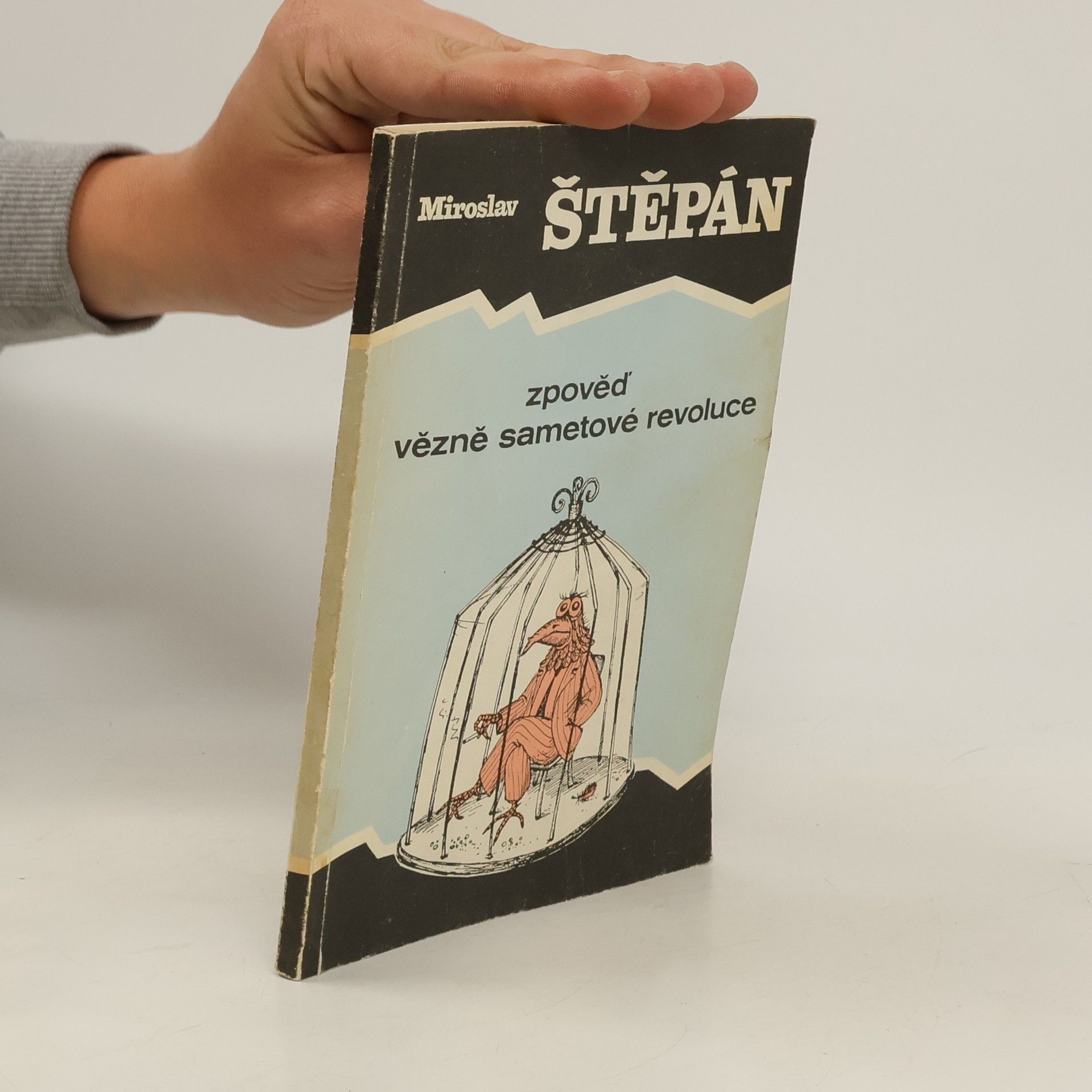 Miroslav Štěpán Zpověď vězně sametové revoluce