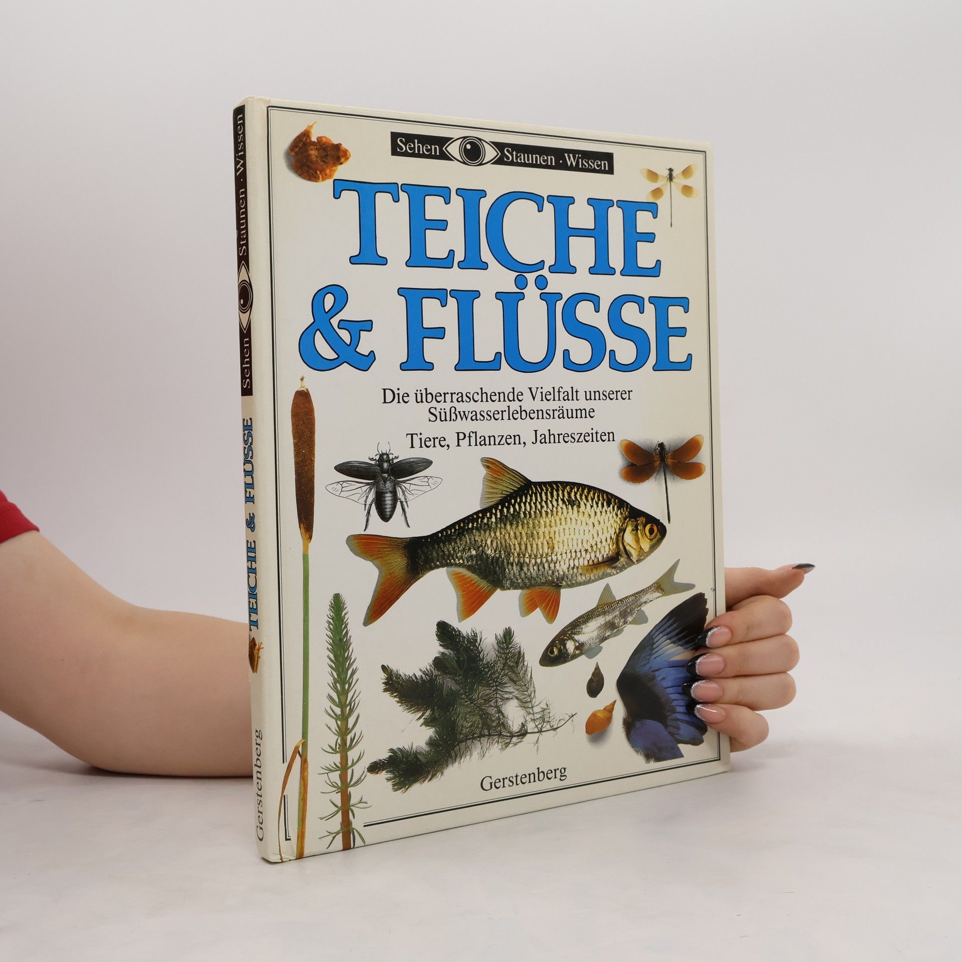 kolektiv Teiche & Flüsse