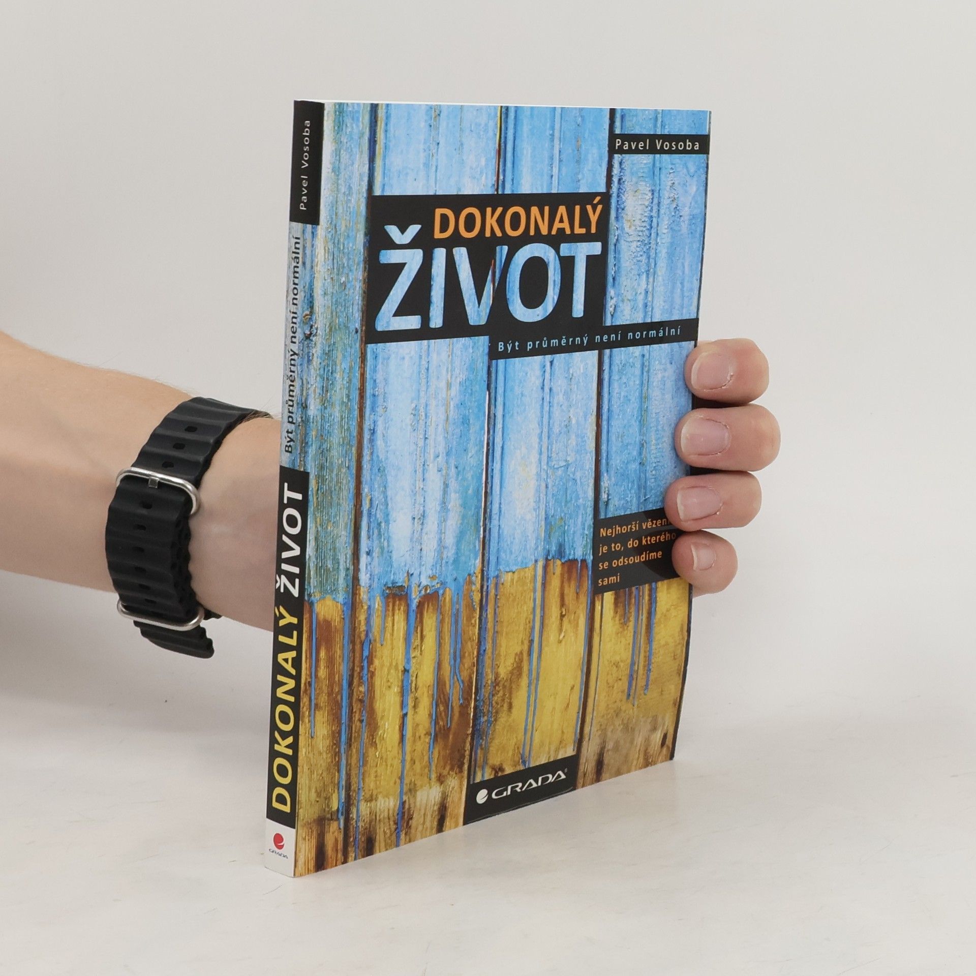 Dokonalý život : být průměrný není normální