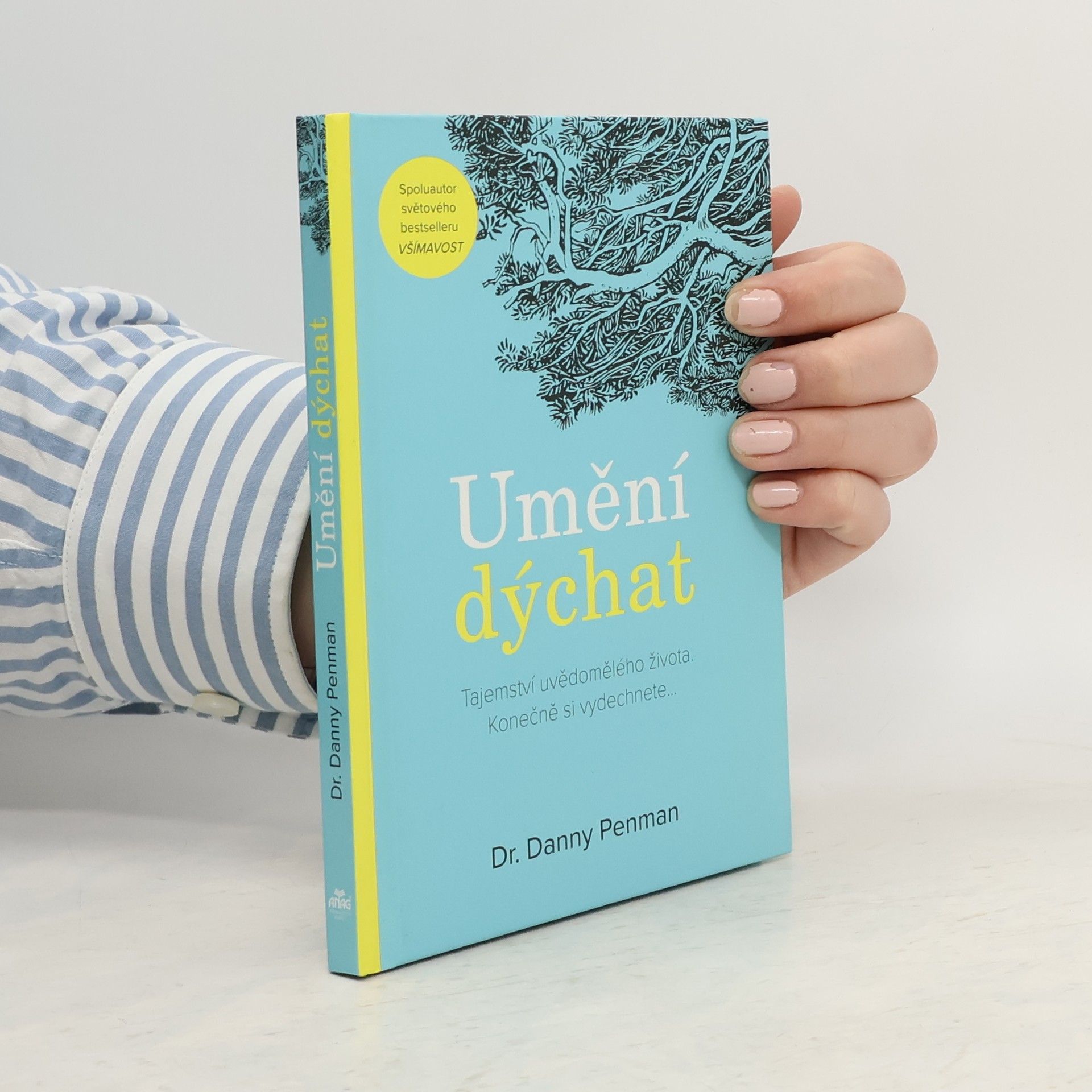 Daniel Penman Umění dýchat