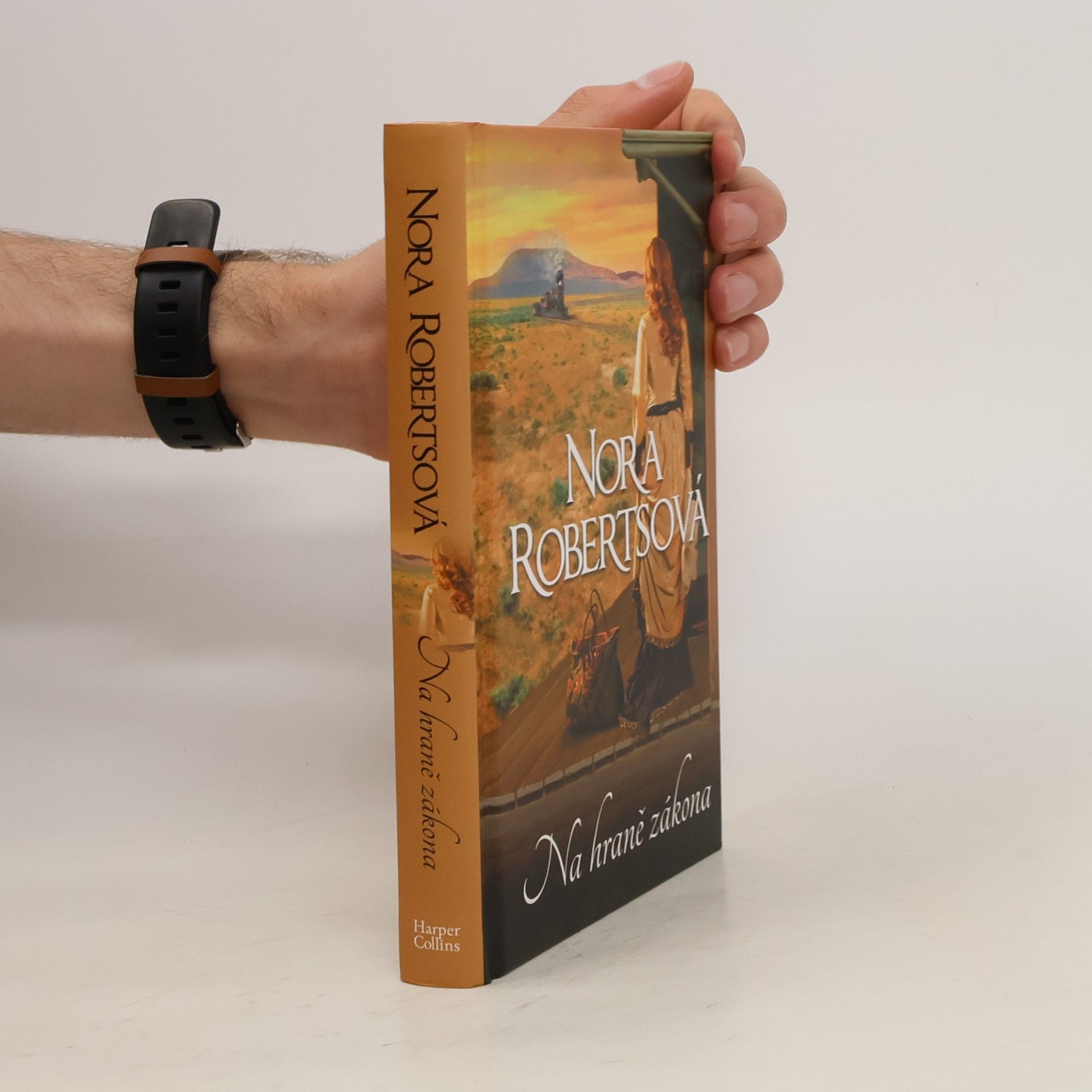 Nora Roberts Na hraně zákona