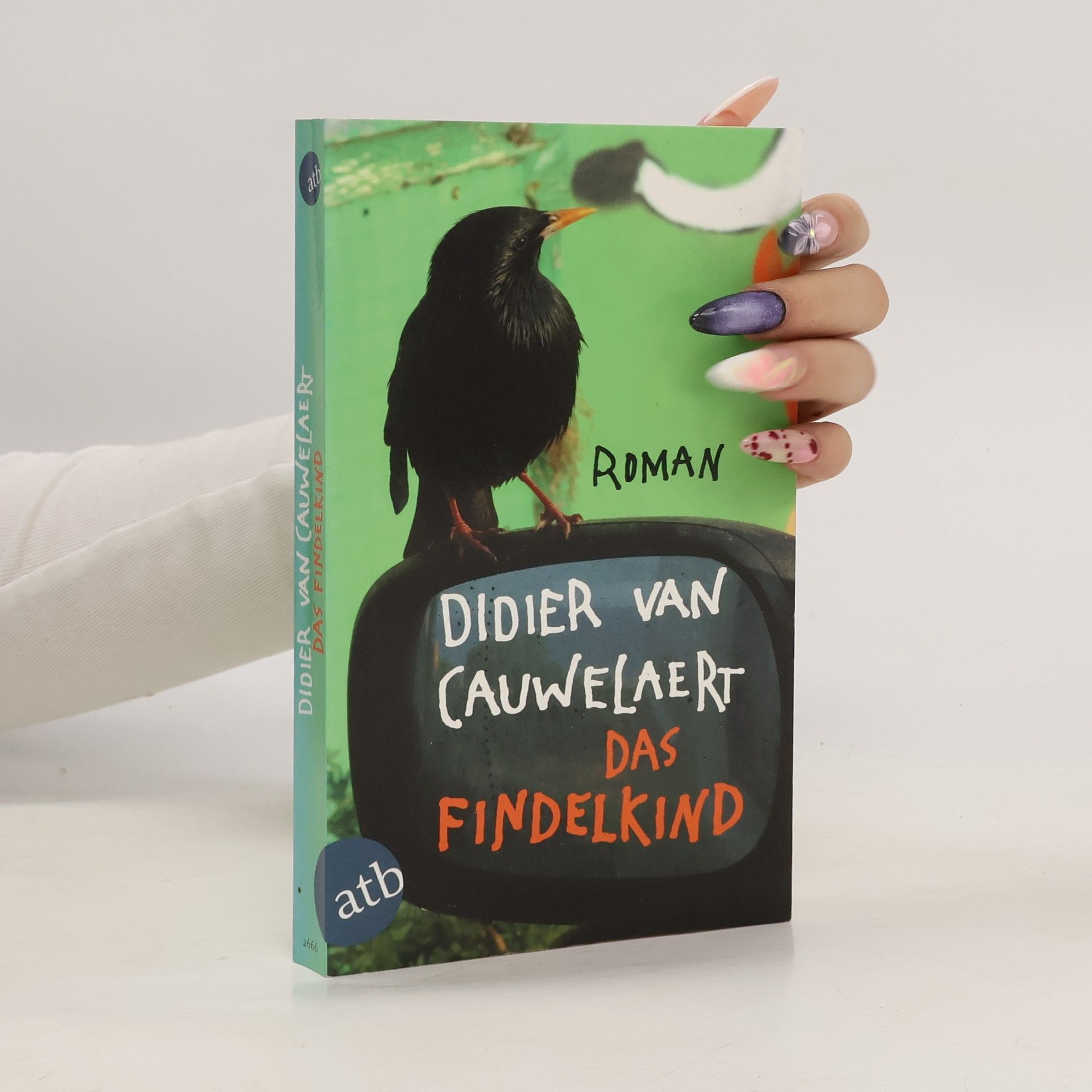 Didier Van Cauwelaert Das Findelkind