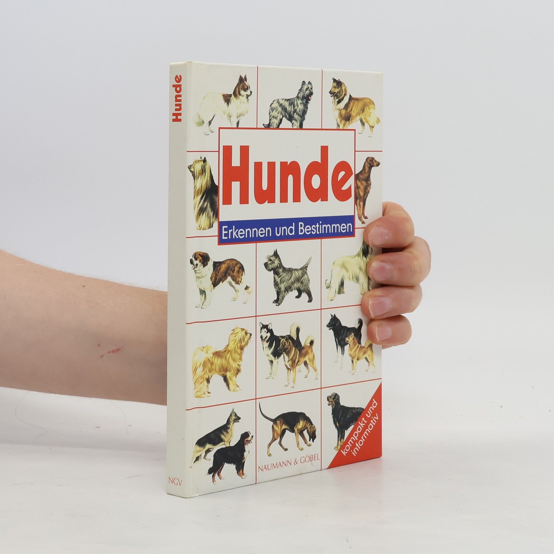 Wendy Boorer Hunde