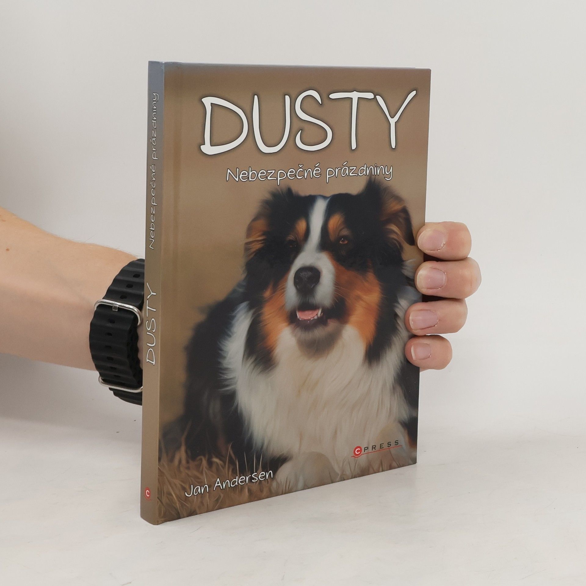 Wolfram Hänel Dusty: Nebezpečné prázdniny