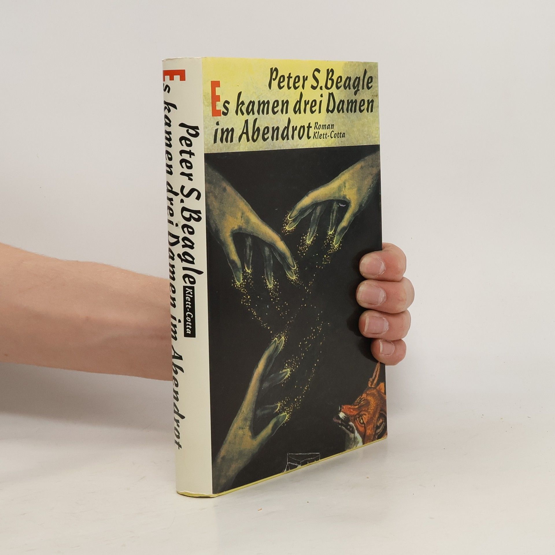 Peter S. Beagle Es kamen drei Damen im Abendrot. Roman