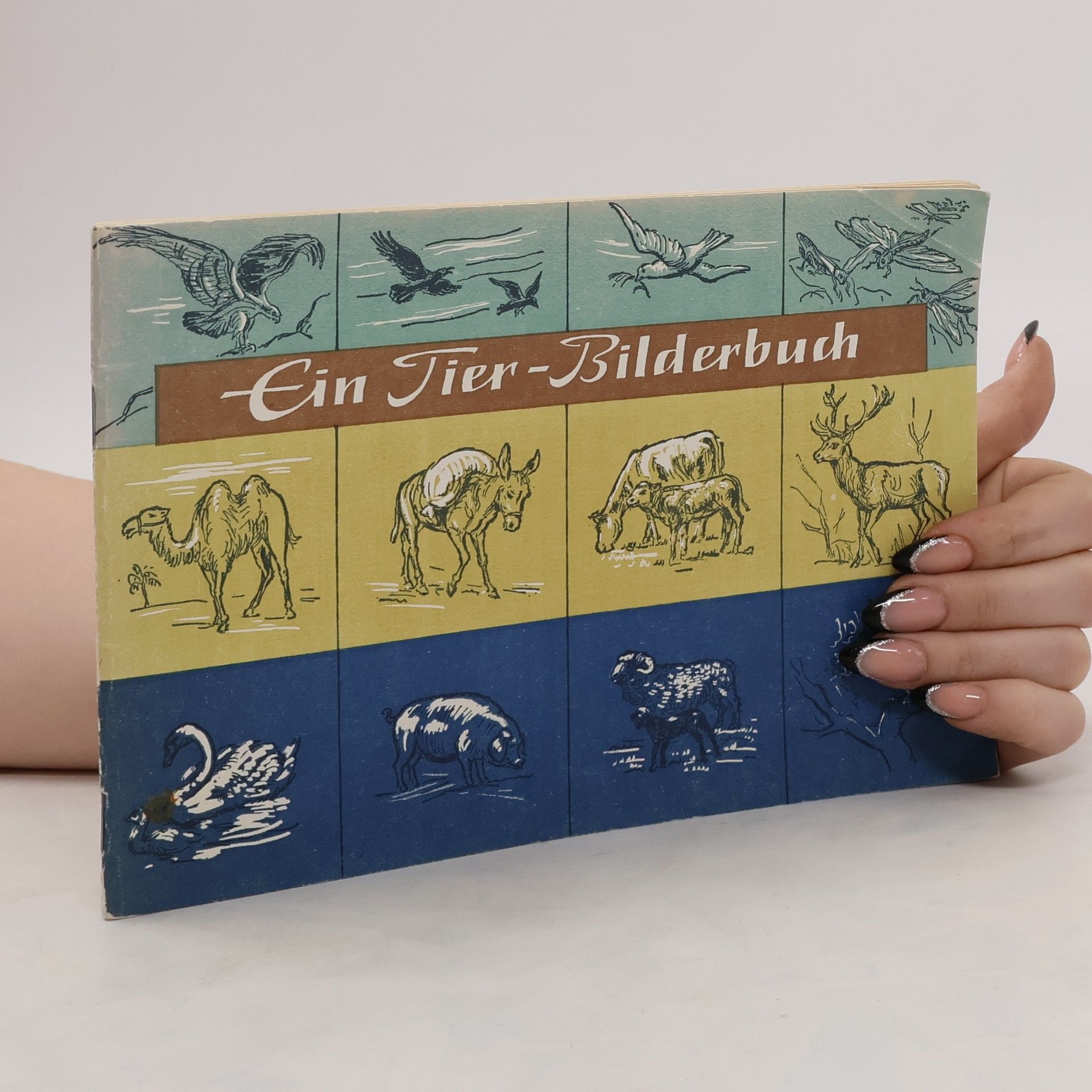kolektiv Ein Tier-Bilderbuch